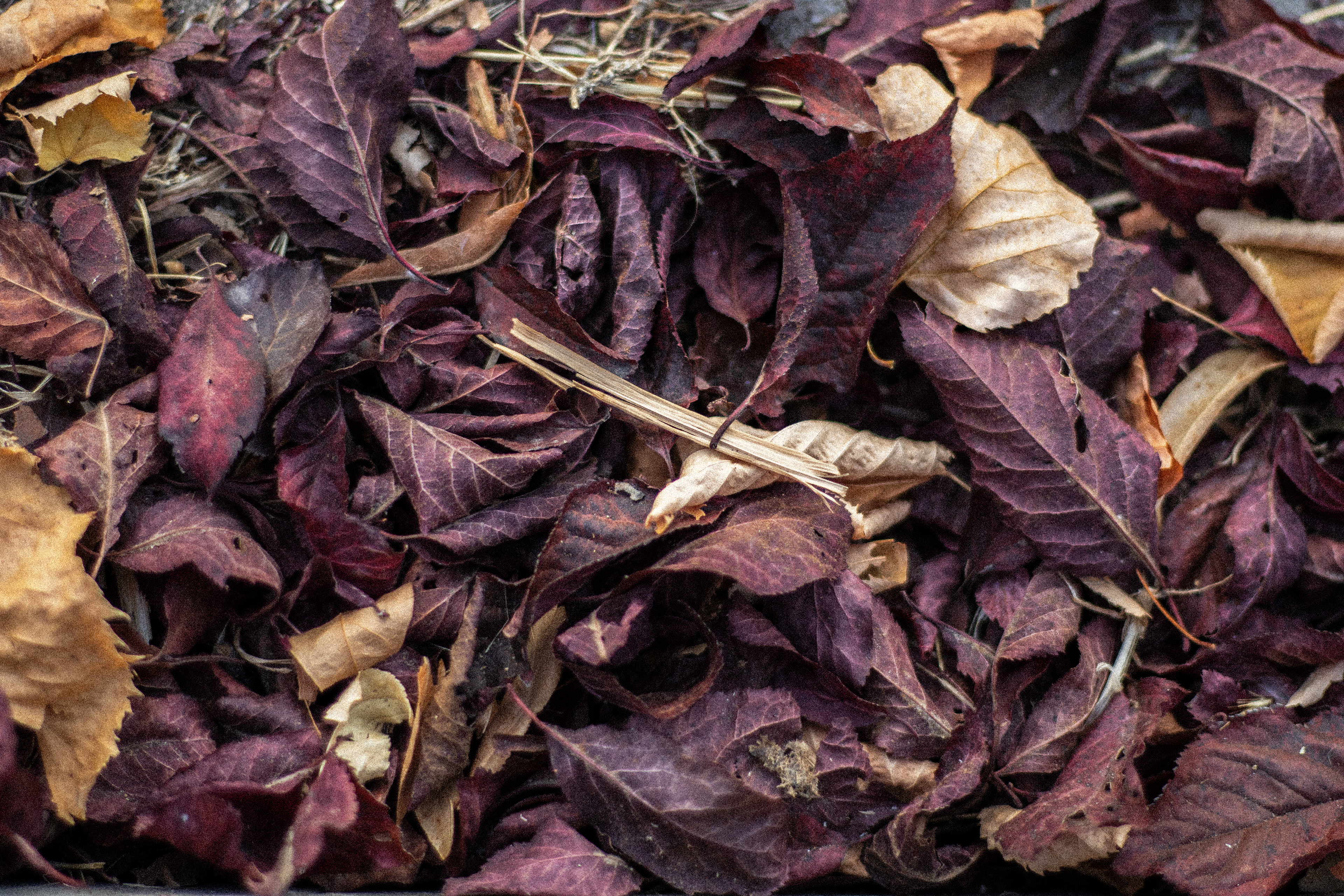 Colors_001