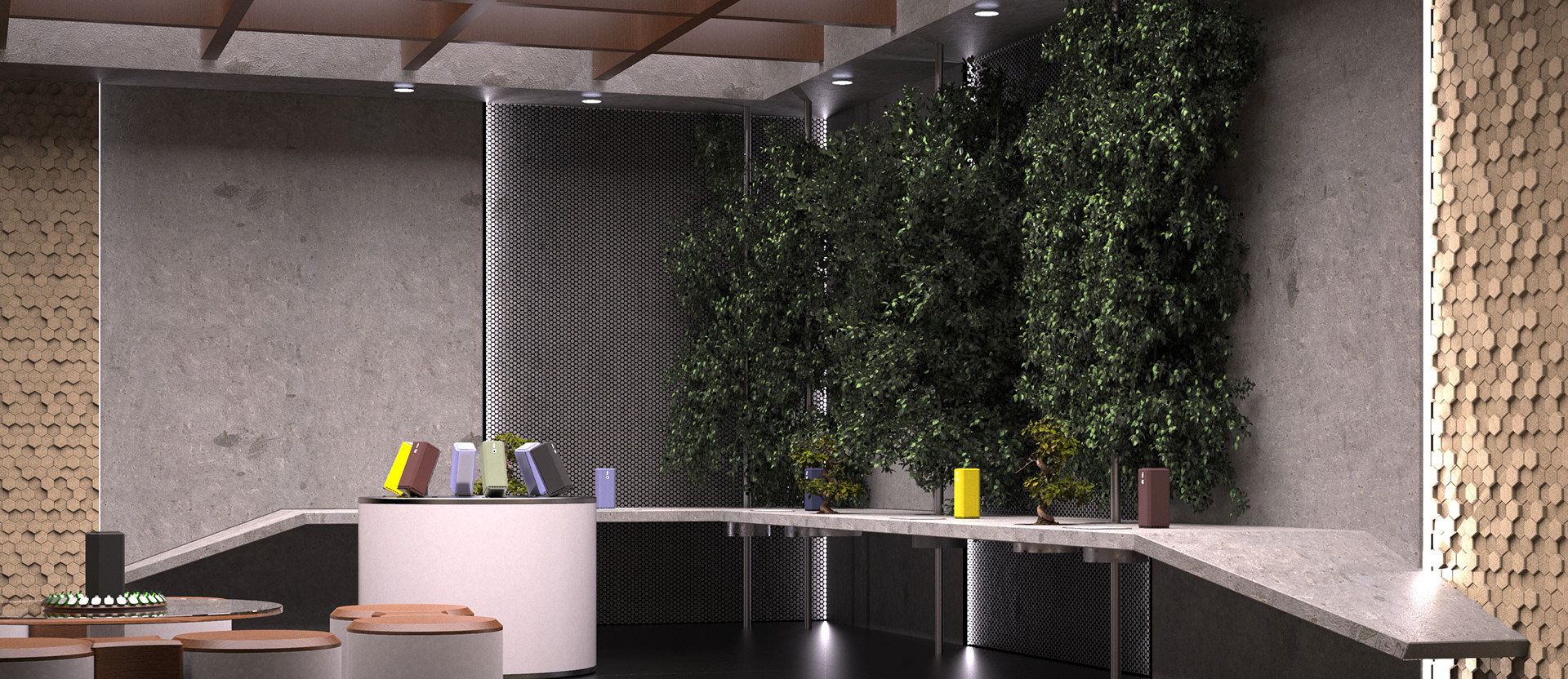 Shop_minimalism_colors_plants