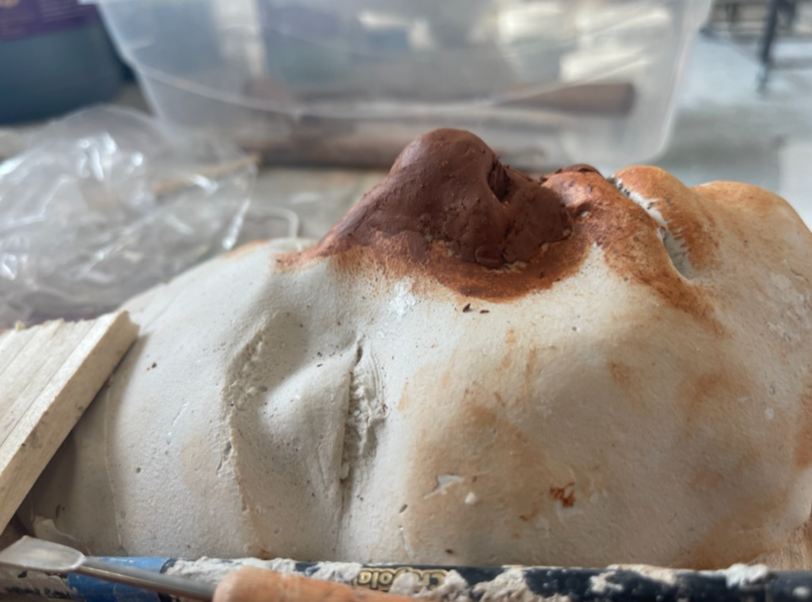 Life Cast Reconstruction Practice (April 2023)