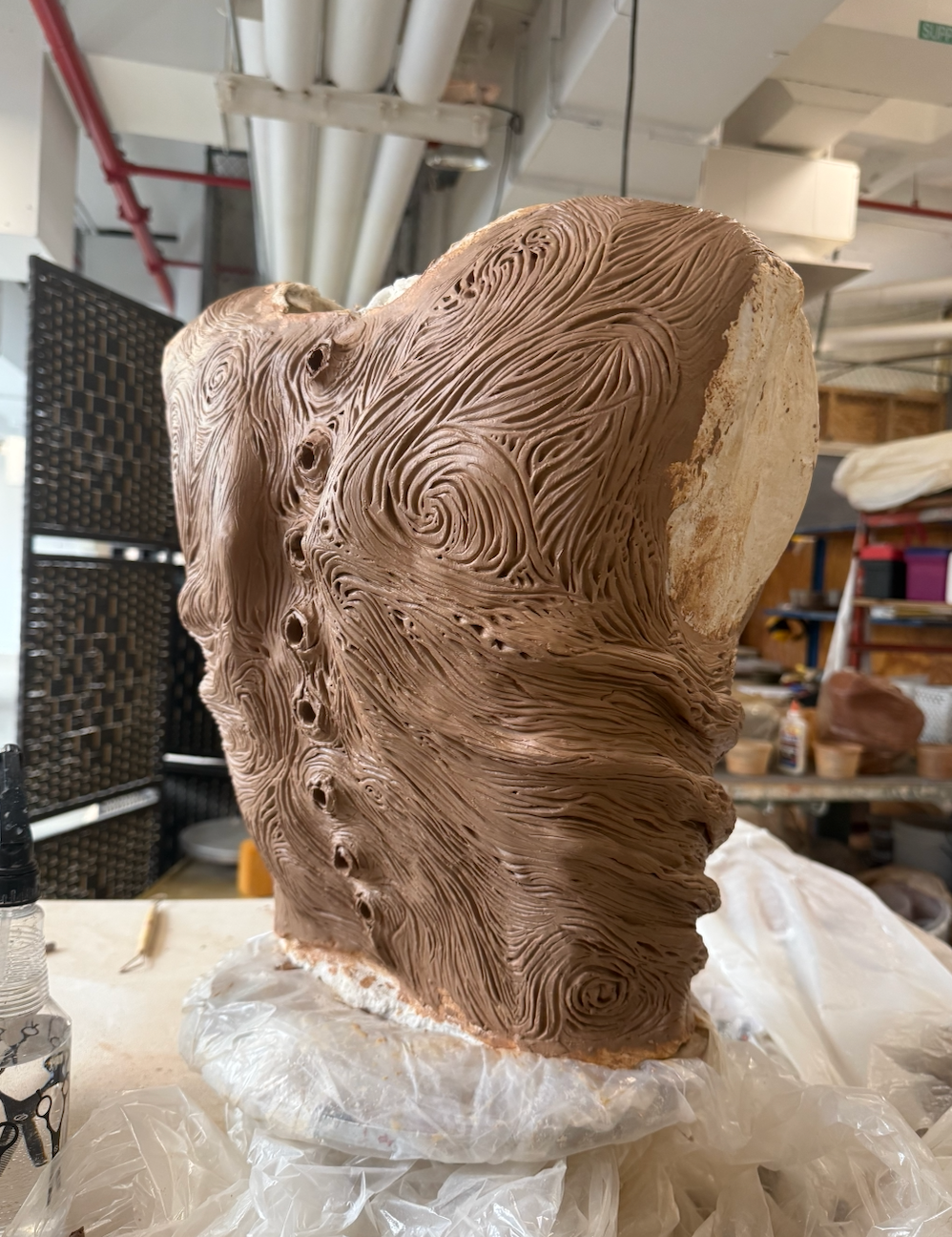 The Rooted, Torso (Back) Prosthetic Clay Sculpt, 2026