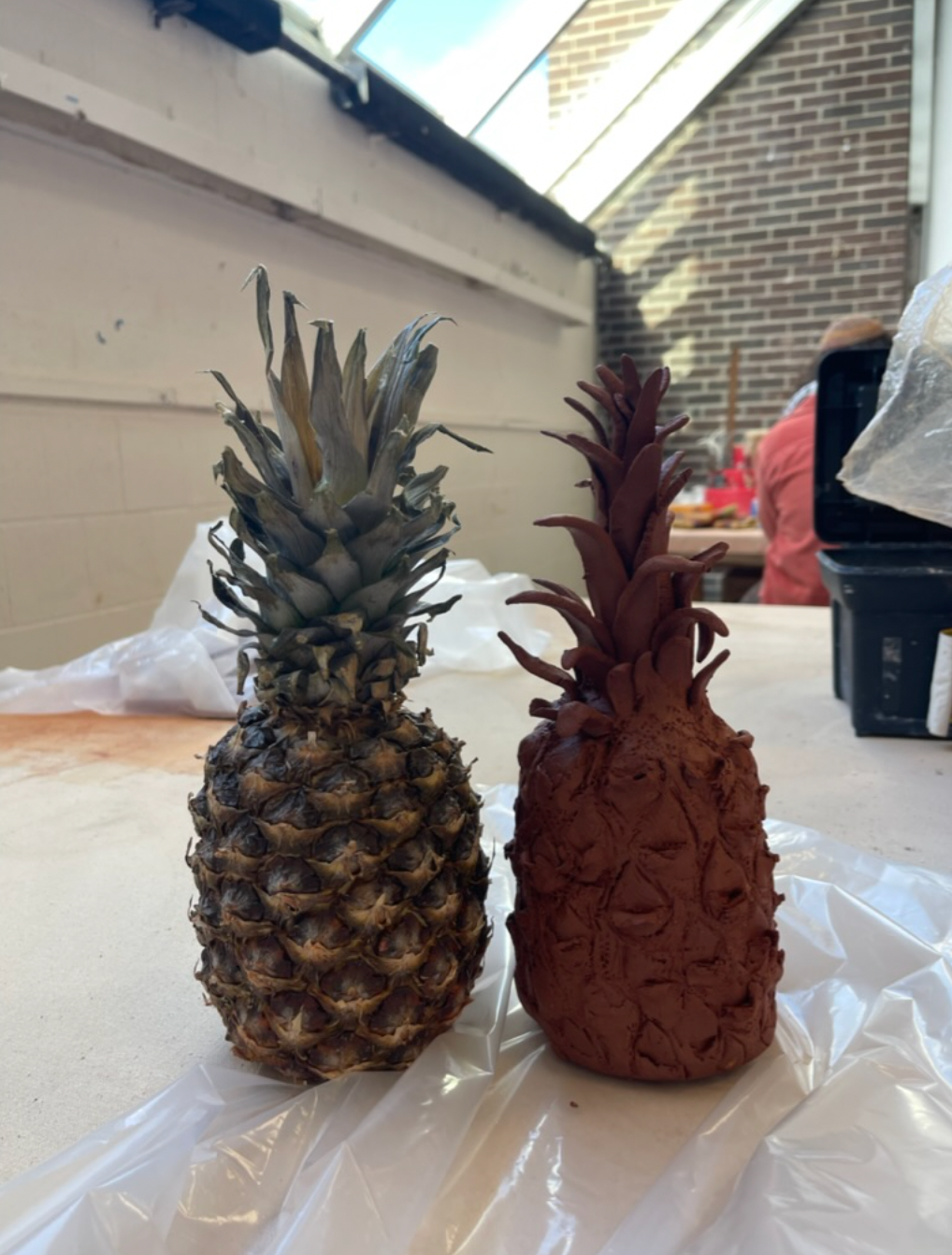 Pineapple study (January 2024)
