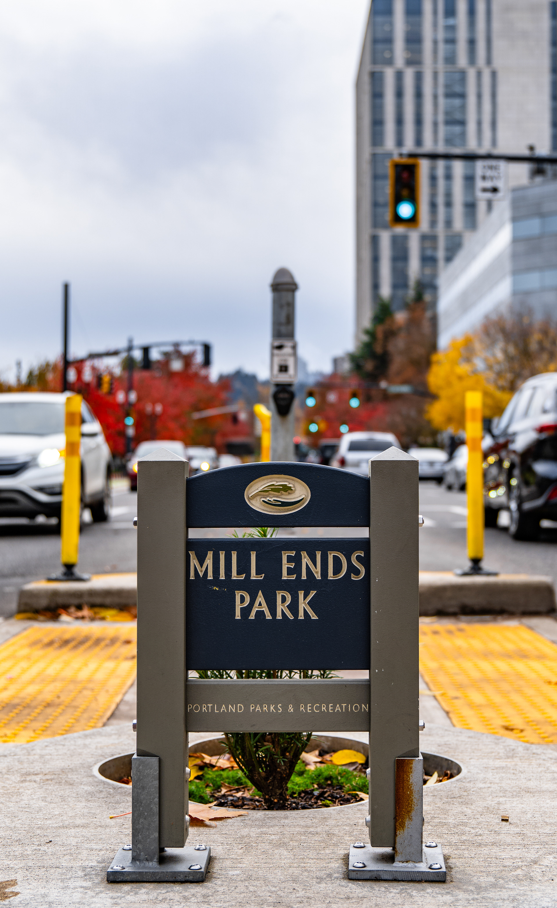Mill Ends Park, recognized as the world's smallest park, sits among a street full of cars. The world-famous landmark saw a remodel and relocation in late 2021, moving six inches west. The park has been Guinness Book of Records certified since 1971.