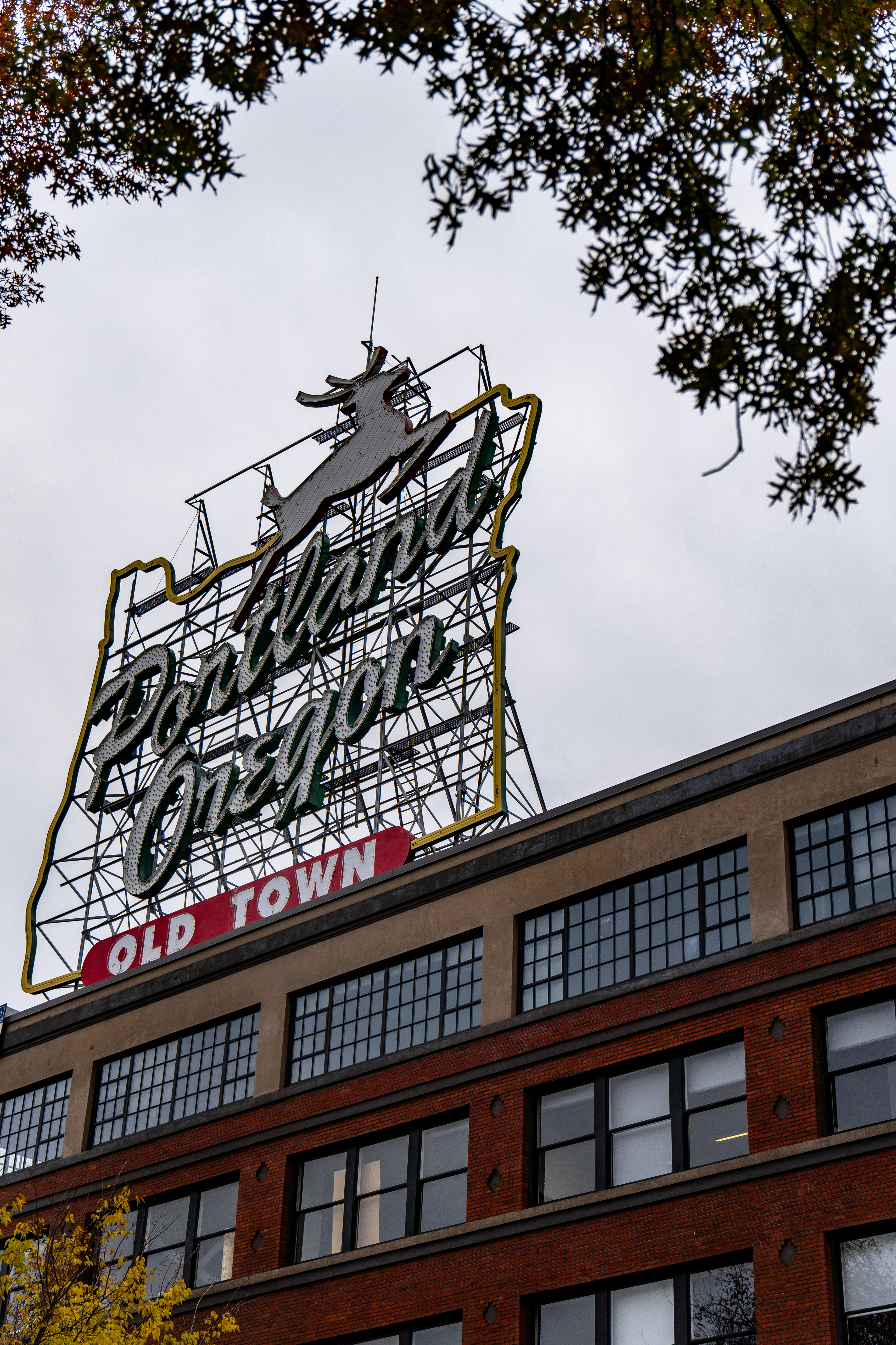 The iconic Portland Old Town sign is framed by fall-colored leaves. The cloud-covered sky captures the city in its truest form.