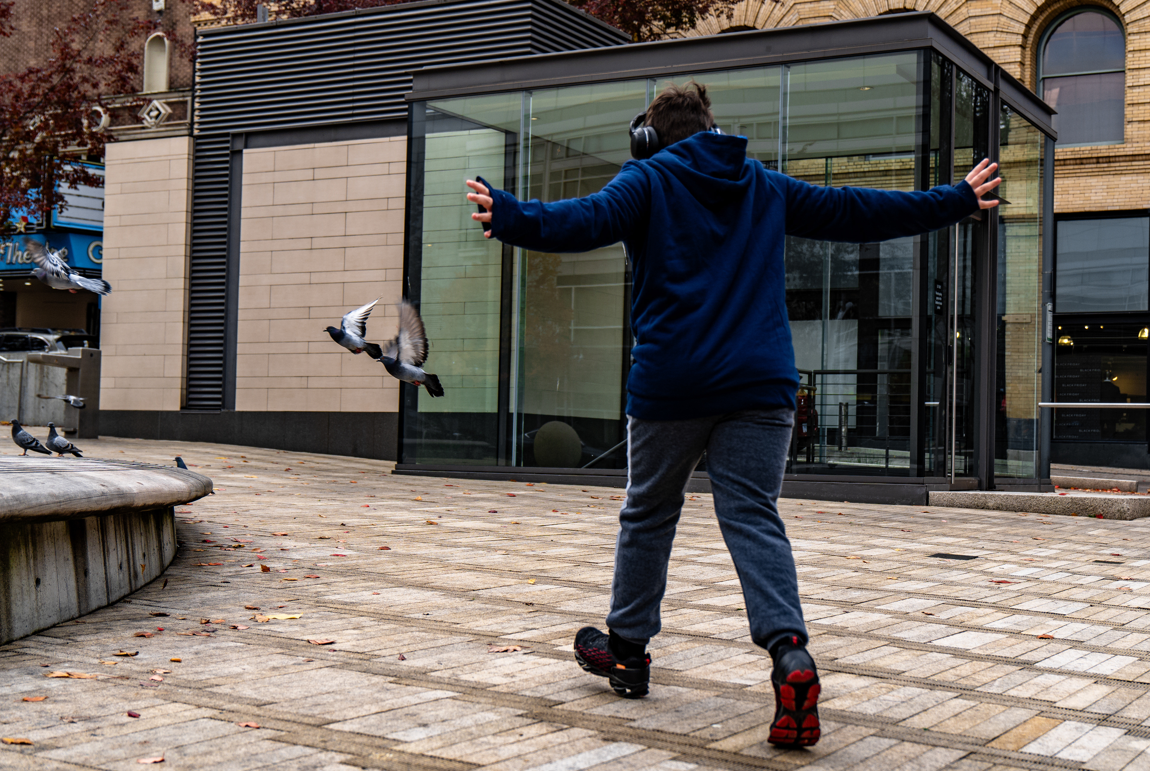 Logan Snyder causes mischief by scaring the pigeons away. The distant pigeons do not yet flee, unaware of their soon-to-be fate.