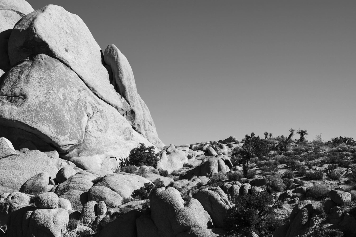 Joshua Tree Rocks