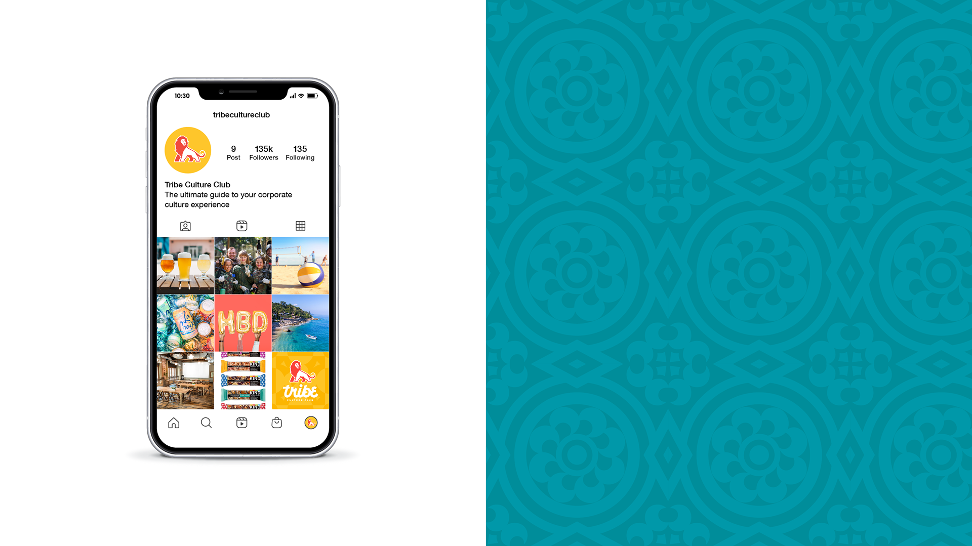 Tribe's Instagram account with the logo, account description, and the first nine posts on an iPhone (designs by Kat Vochoska).