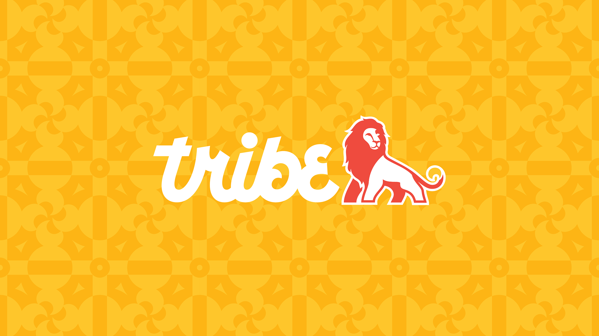 The Tribe logotype and lion icon on one of the brand's unique patterns in yellow and gold (designs by Kat Vochoska).