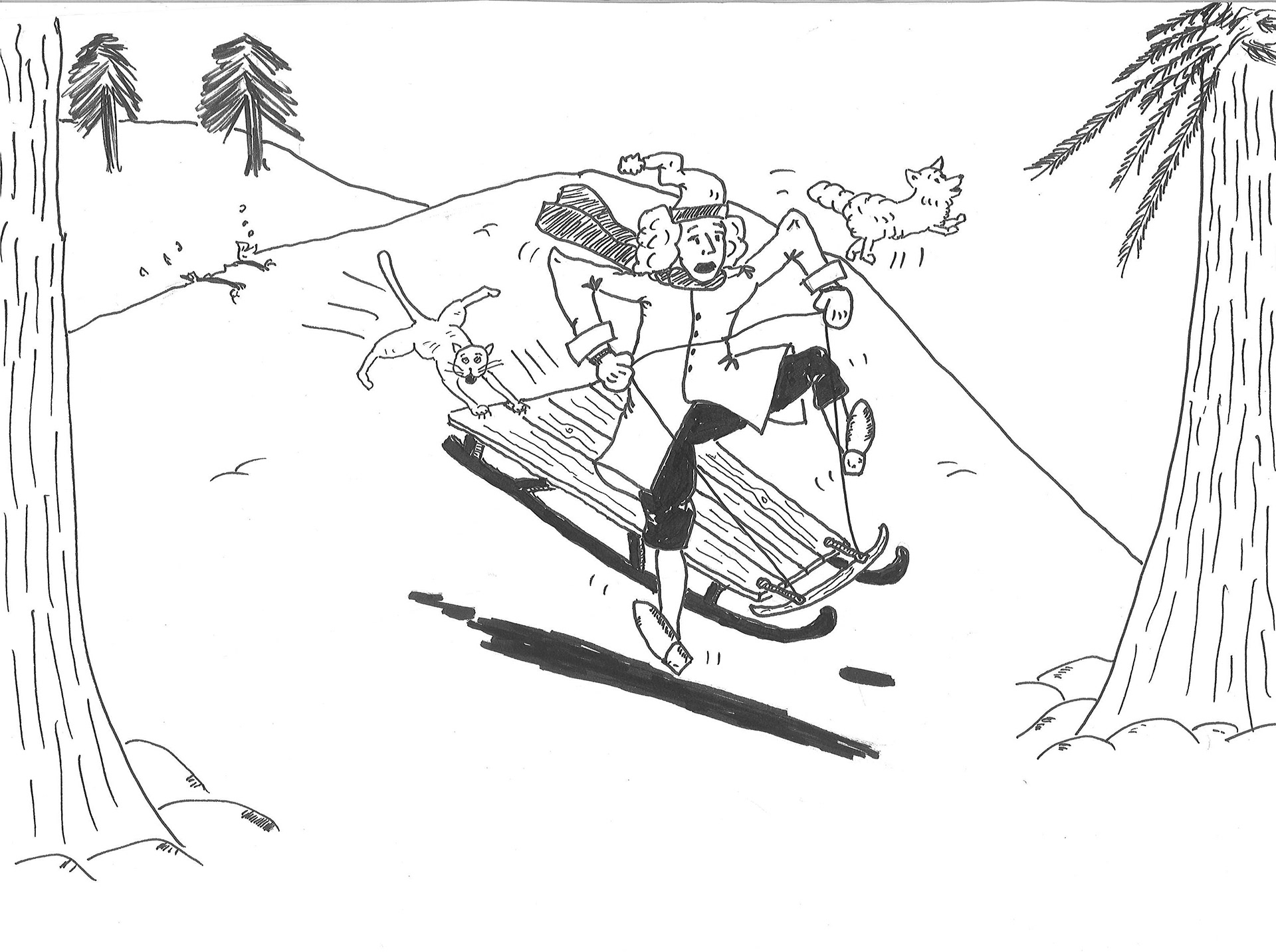 Sledding