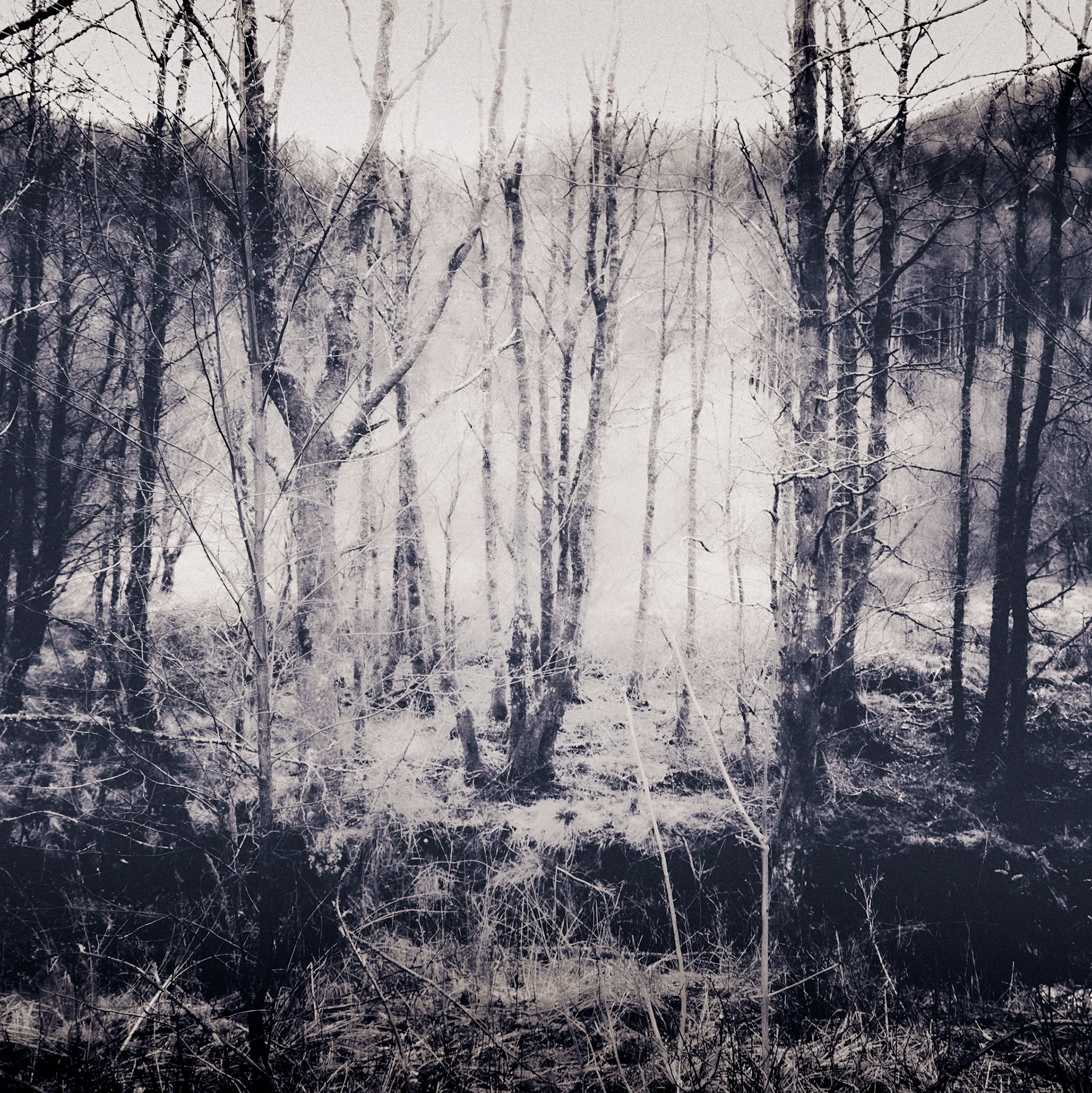 Glen Coe, 2023