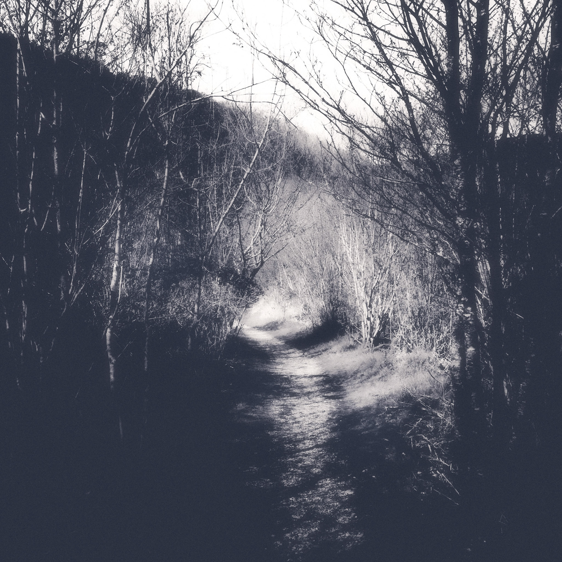 Glen Coe, 2023