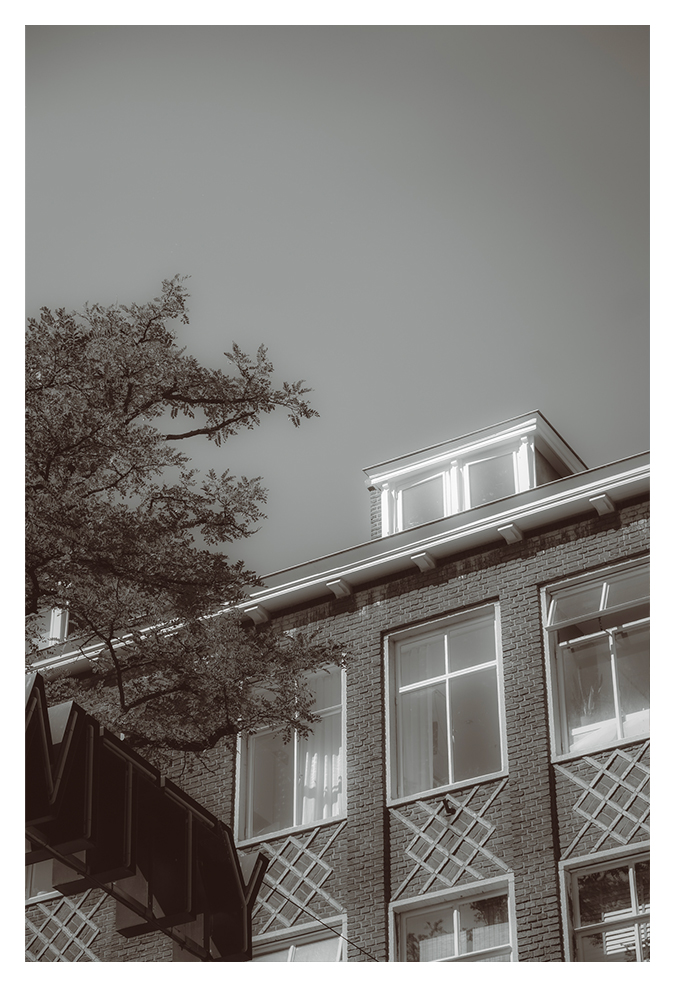 Rotterdam — promenade