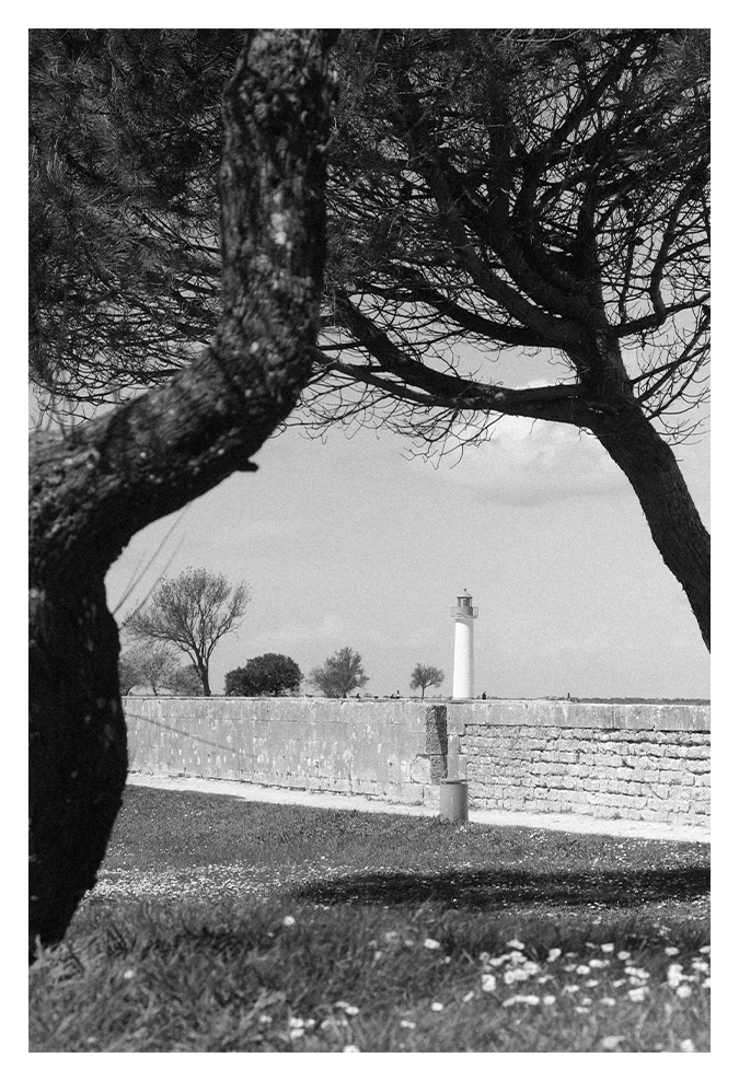 Île de Ré — vue aérienne