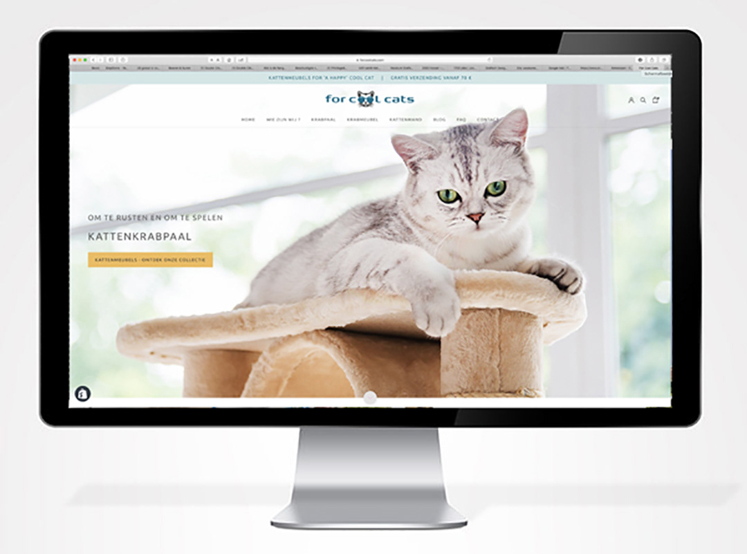 ontwerp, opbouw en commercialisering van webshop For Cool Cats, kattenkrabpalen