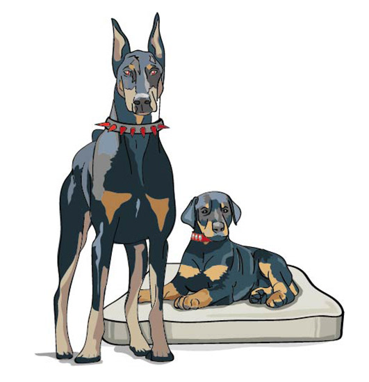 Tekening, gevectoriseerd. Illustrator