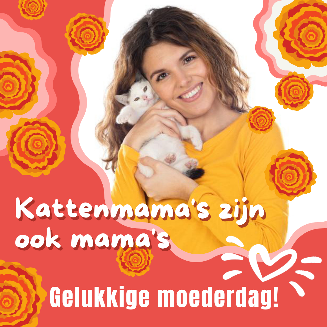 social media voor Facebook en Instagram