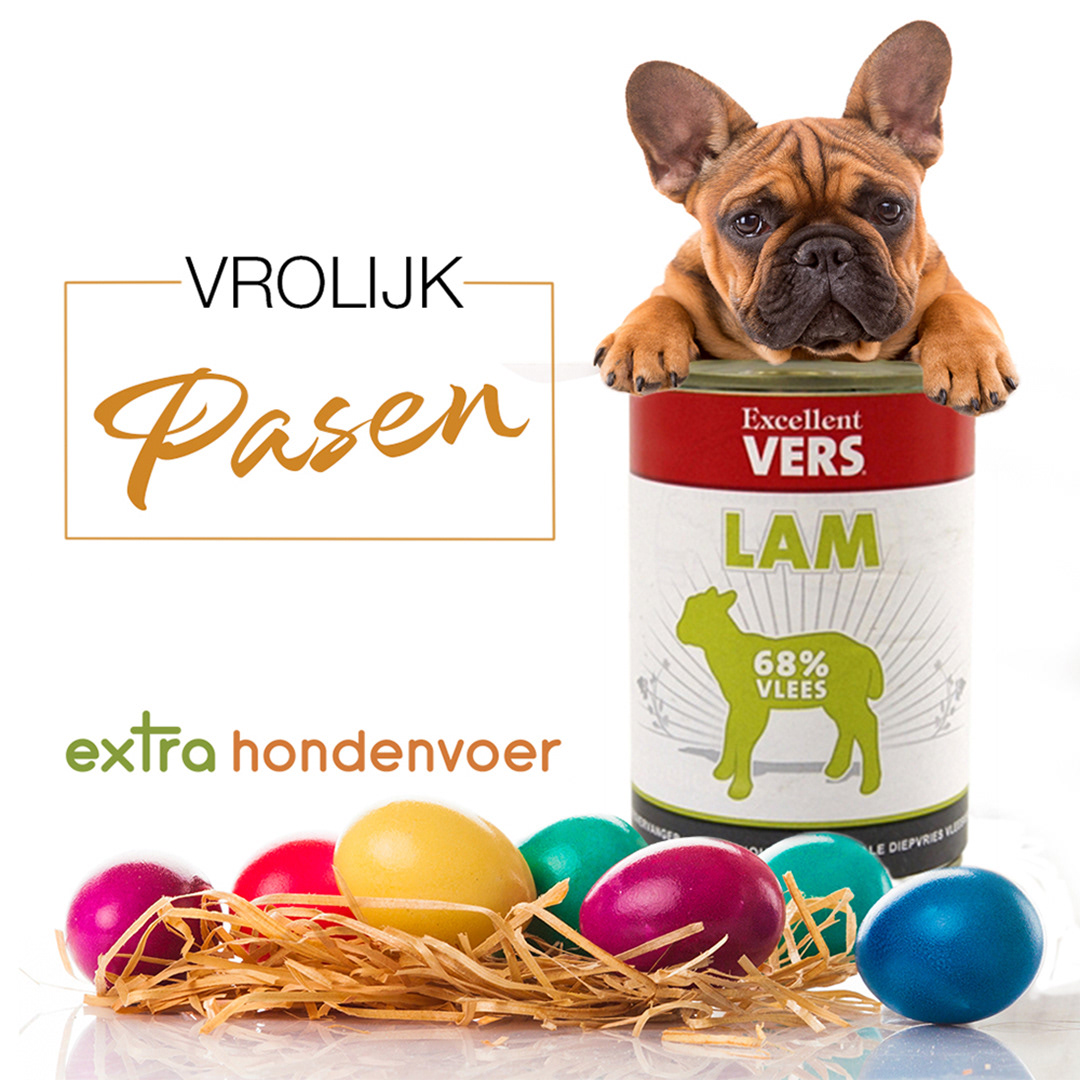 social media voor Facebook en Instagram