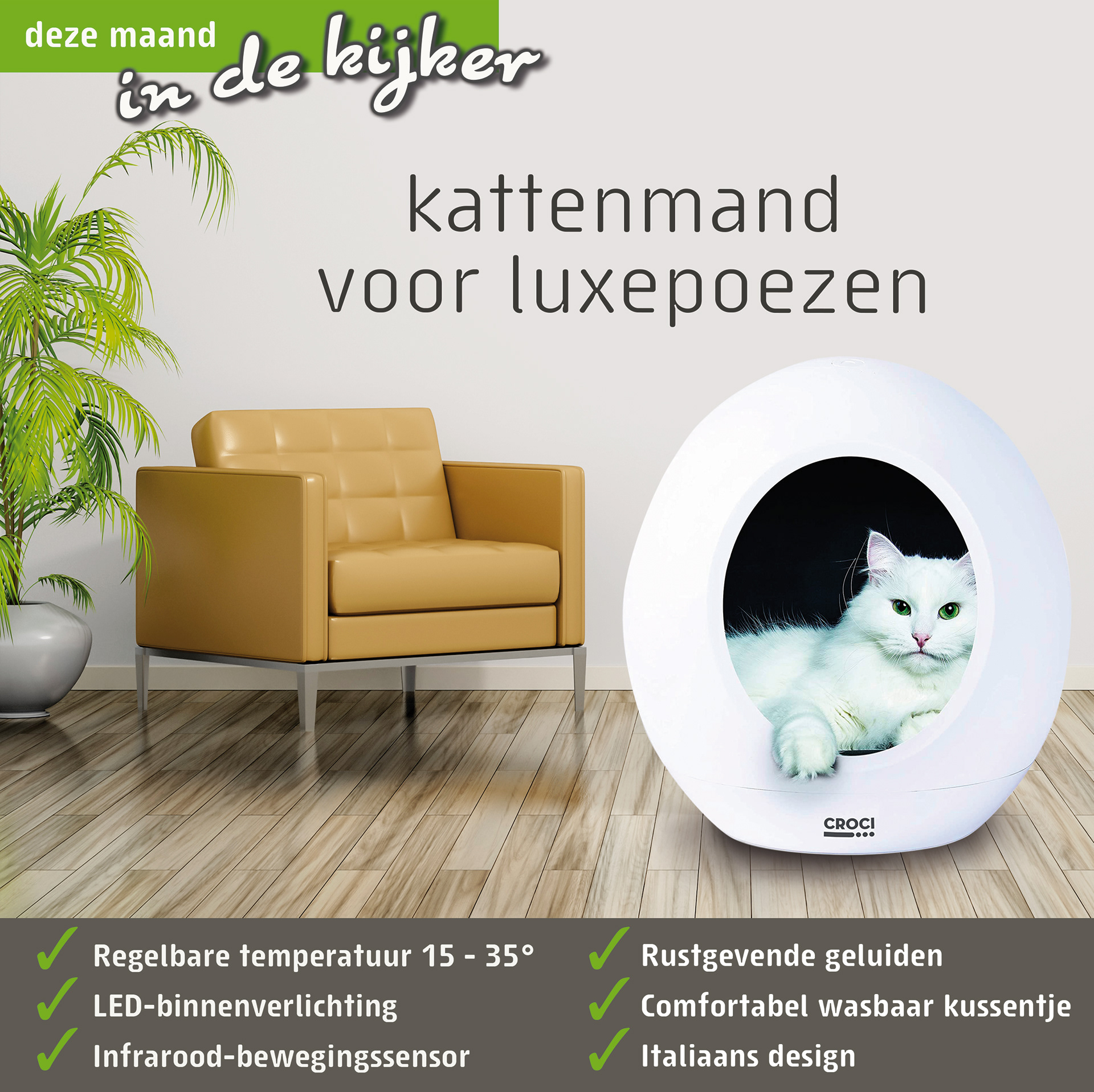 social media voor Facebook en Instagram