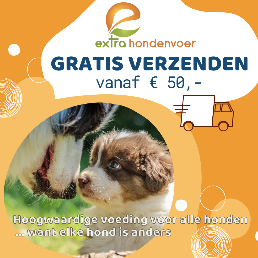 social media voor Facebook en Instagram