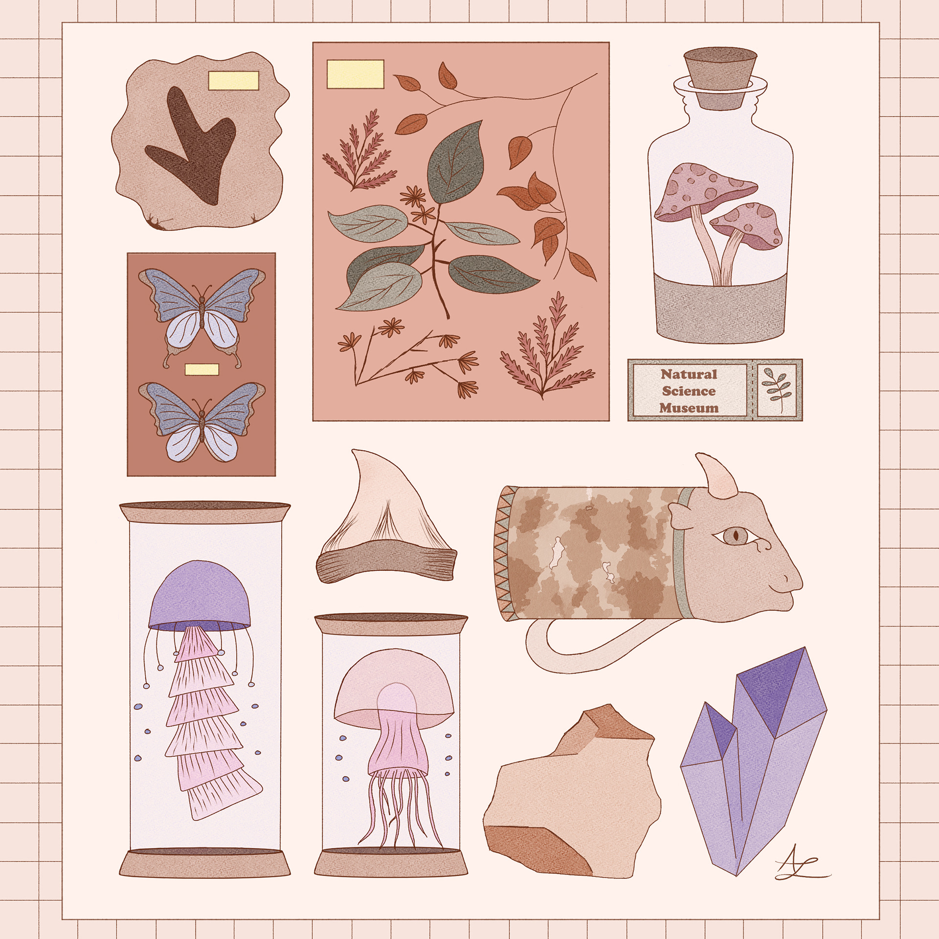 Mayseum Prompt One - Natural History Museum