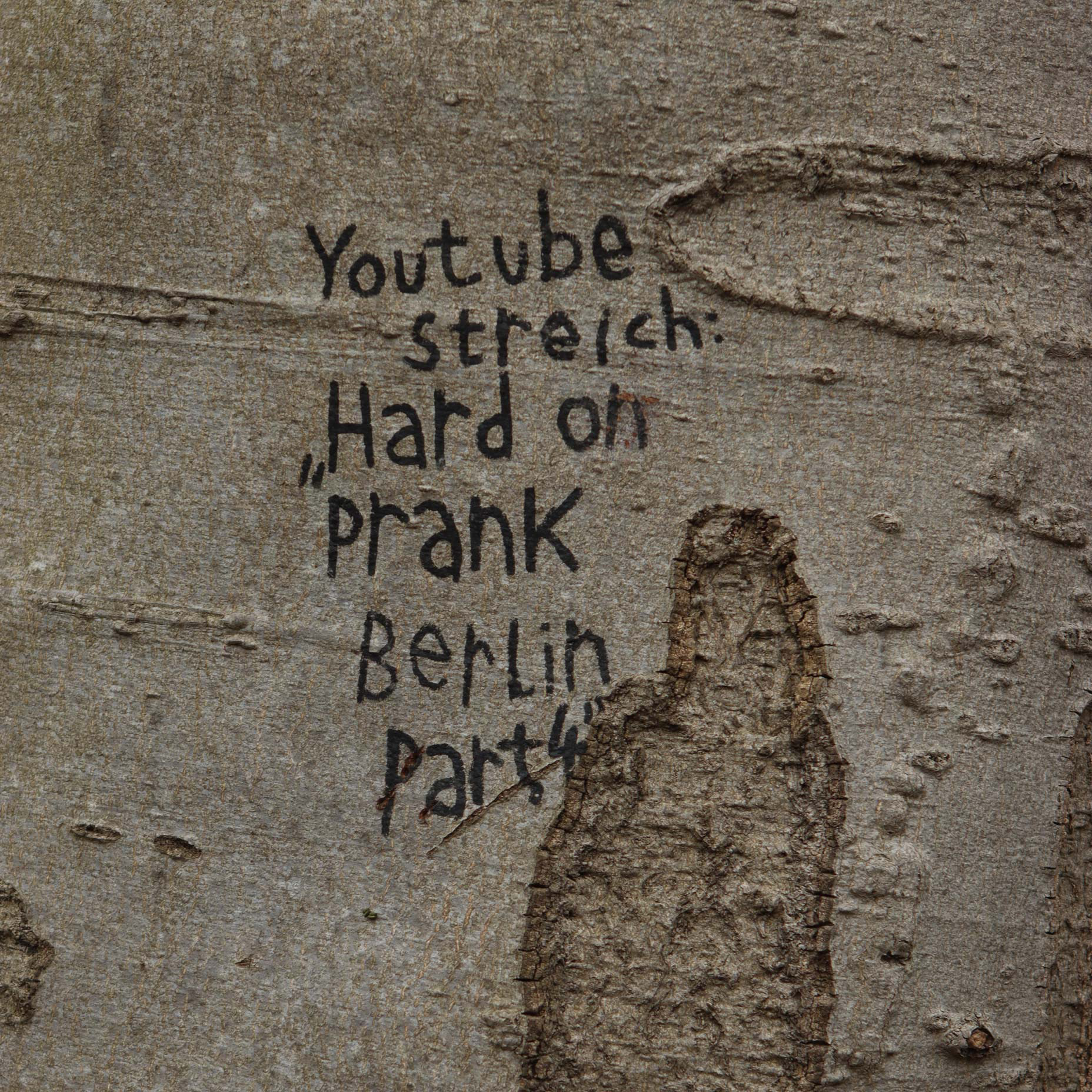 Sylvaglyphe, Berlin, Allemagne, 2022, photograph, various dimension