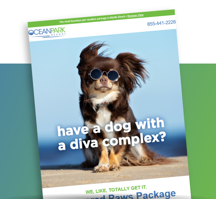 Ocean Park Resort Pampered Paws Package Email Example