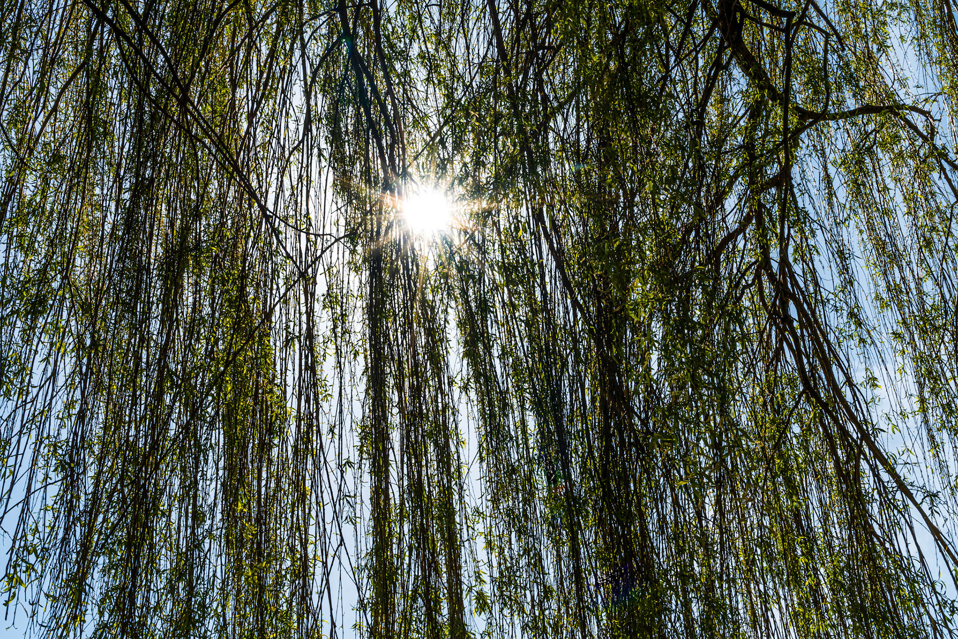 Fotografie Linda Van den Bossche