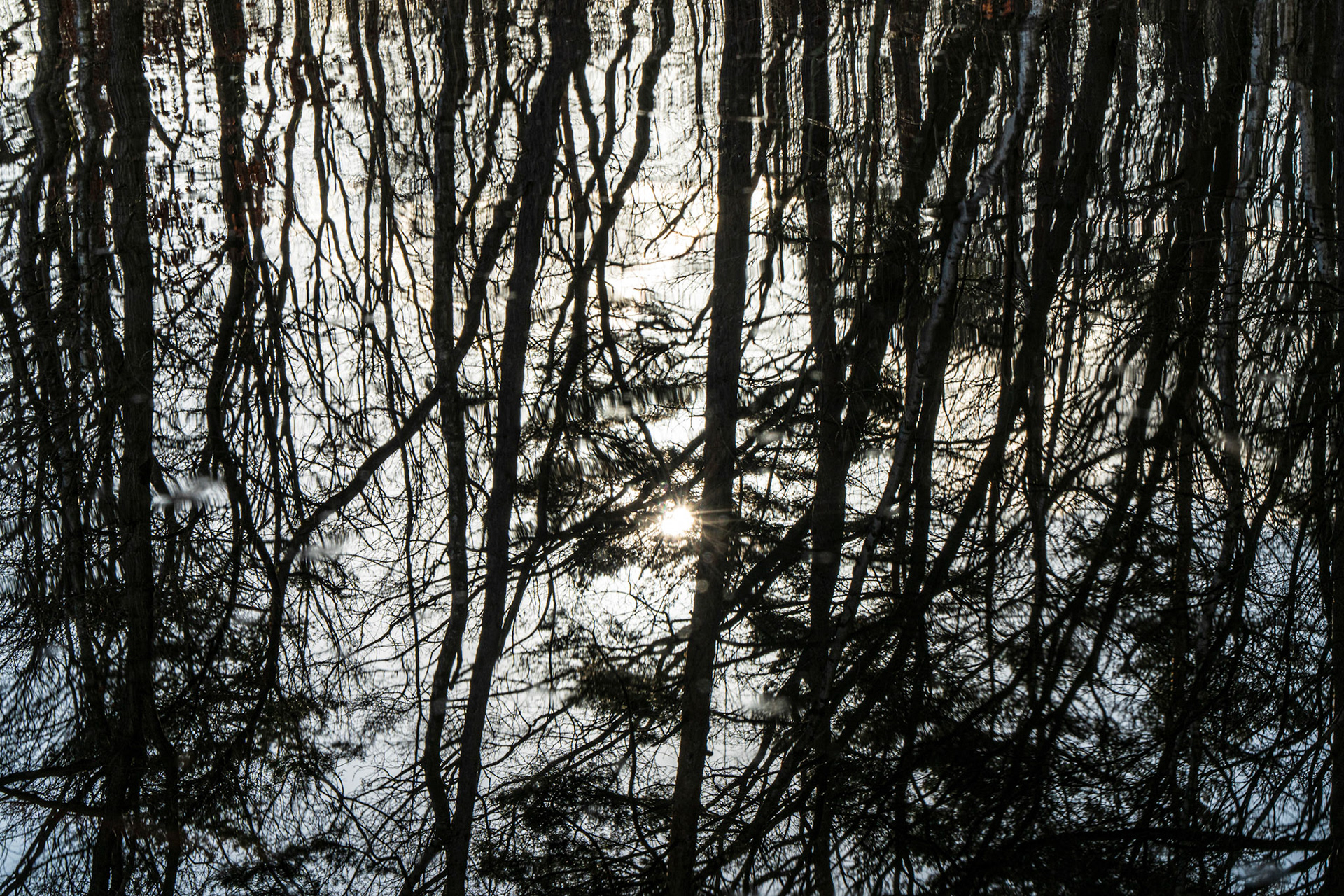 Fotografie Linda Van den Bossche