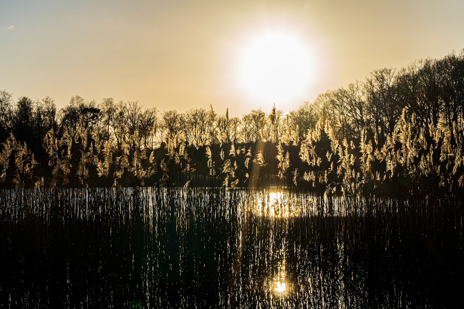 Fotografie Linda Van den Bossche