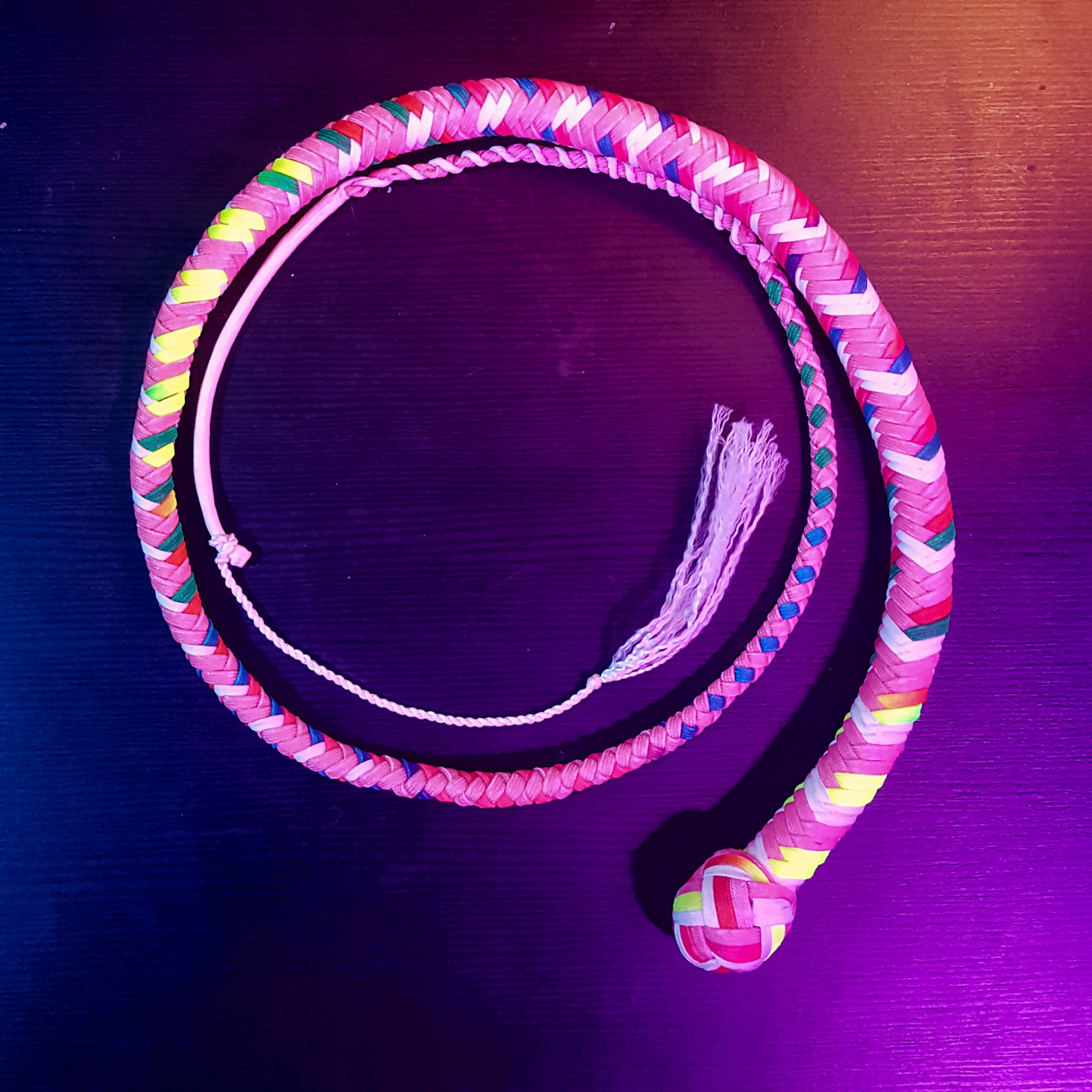 Single tail Snakewhip