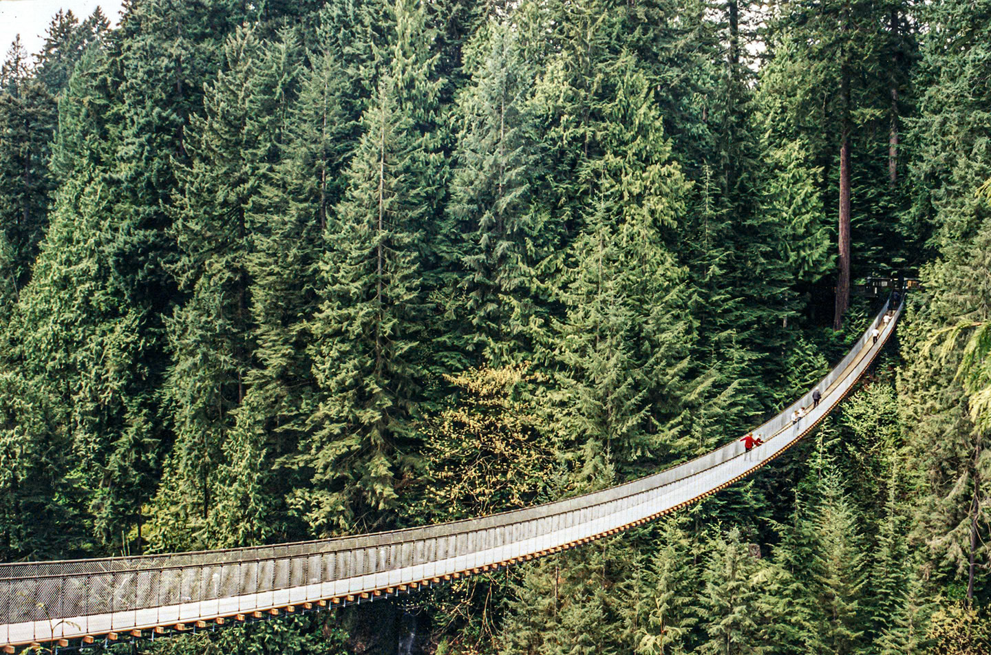 Capillano Suspension Bridge