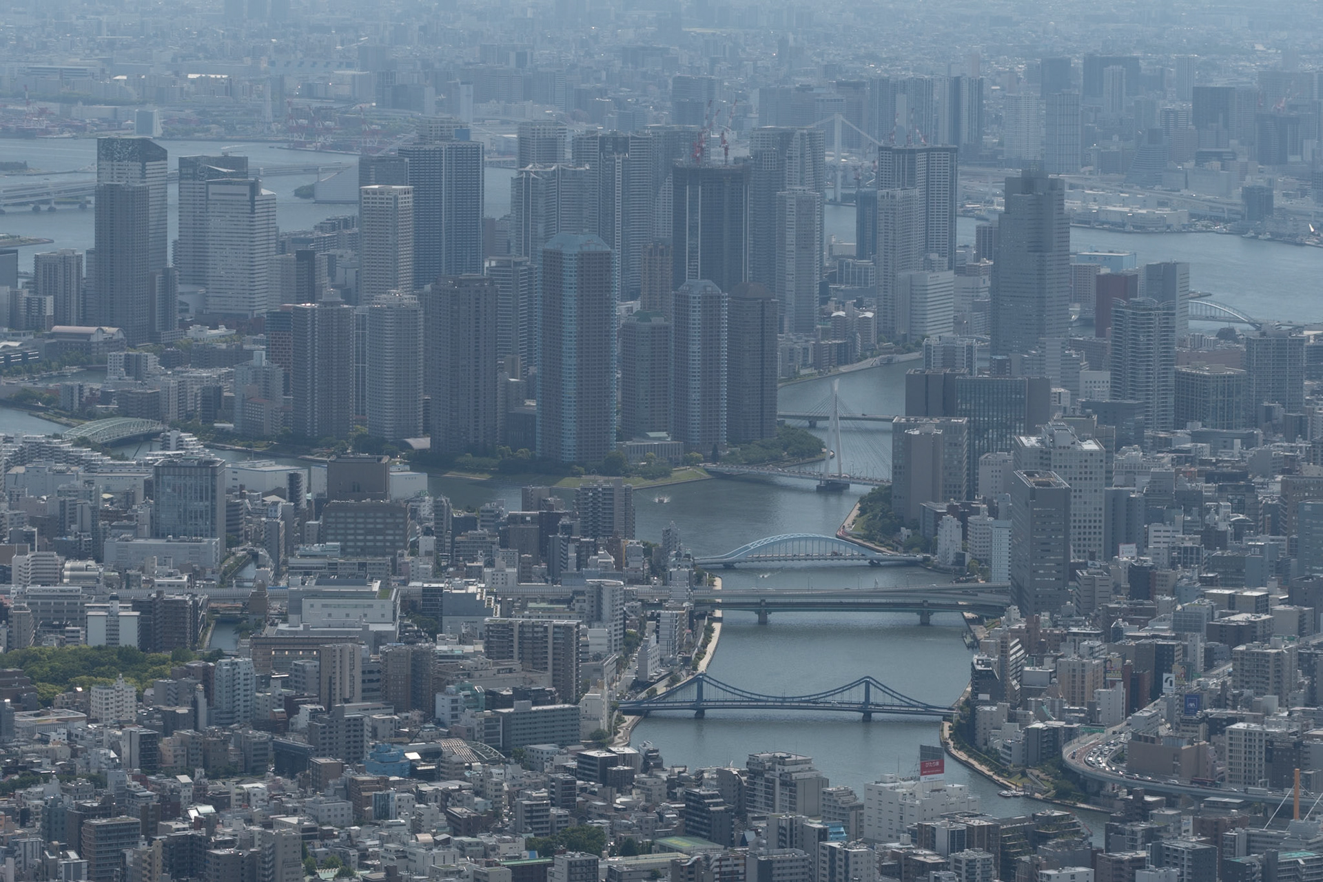 View from Skytree