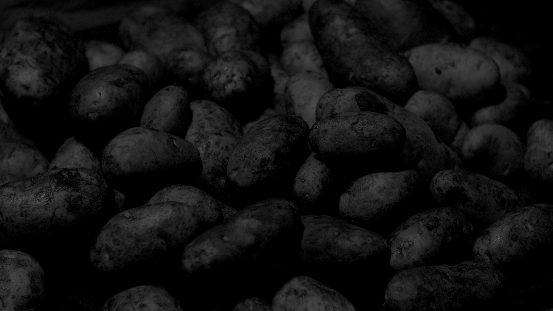 Dark Tators