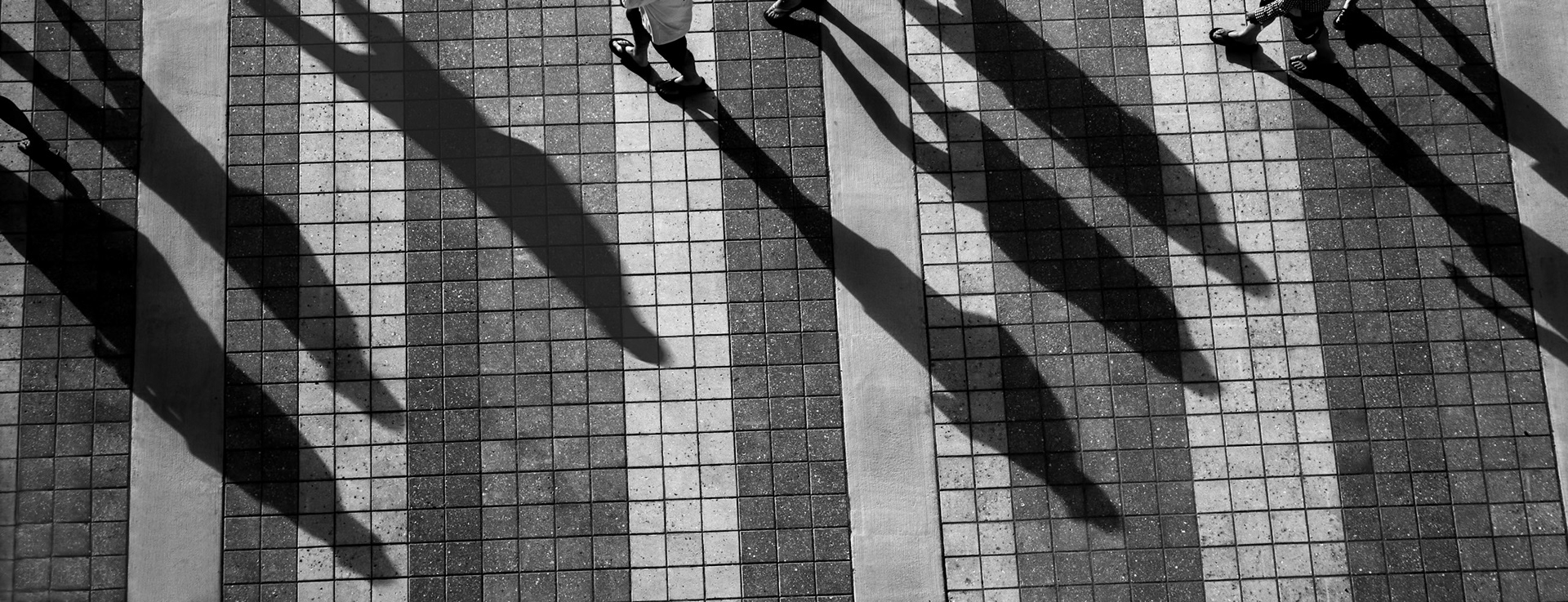 Procession of Shadows