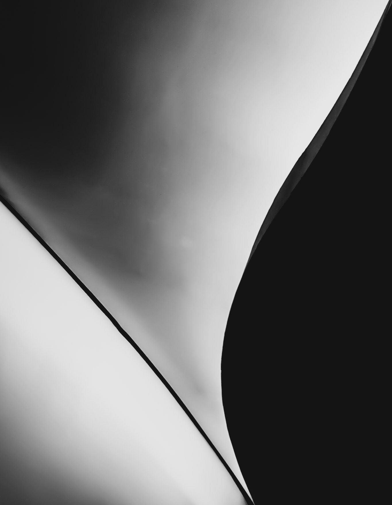 Forms and Curves - aspect of ceiling in the National Museum of the American Indian in Washington, DC