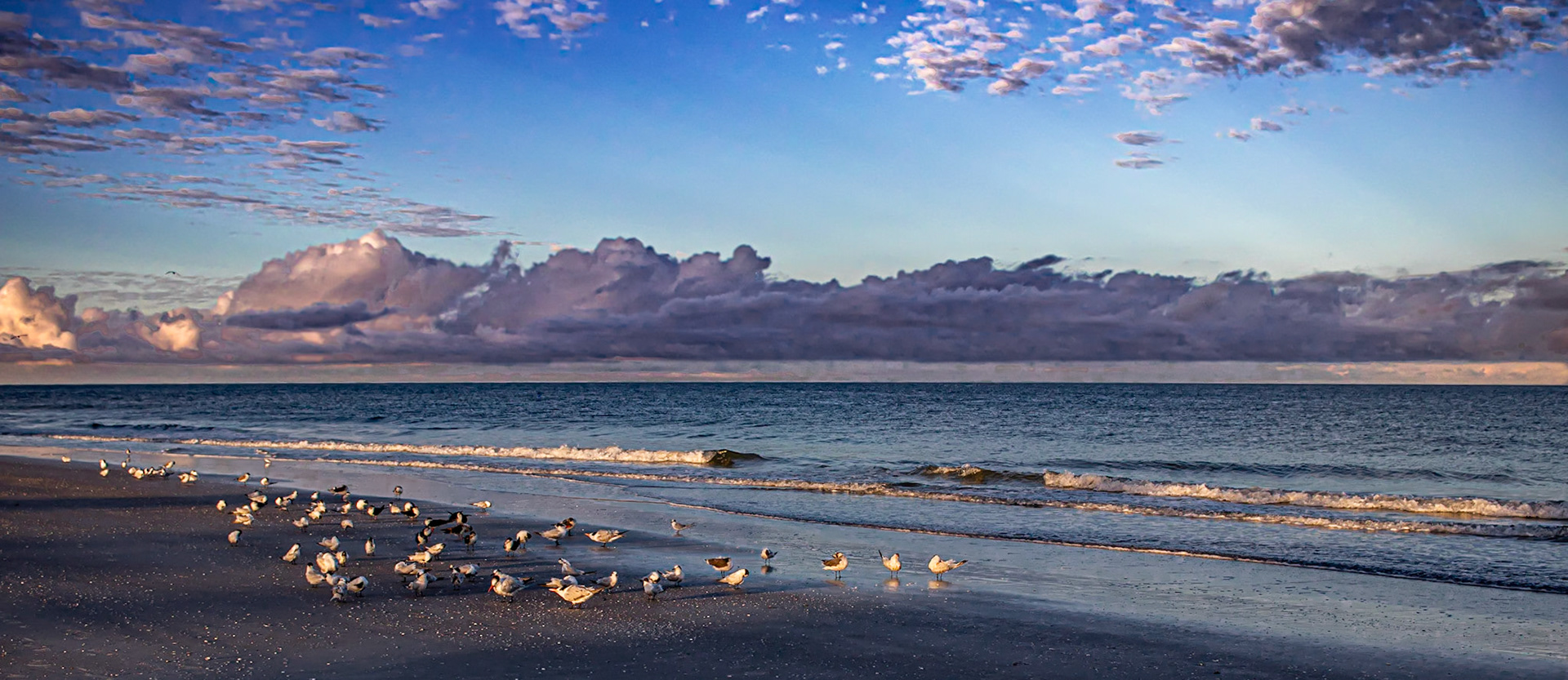 Dawn - Clearwater Beach