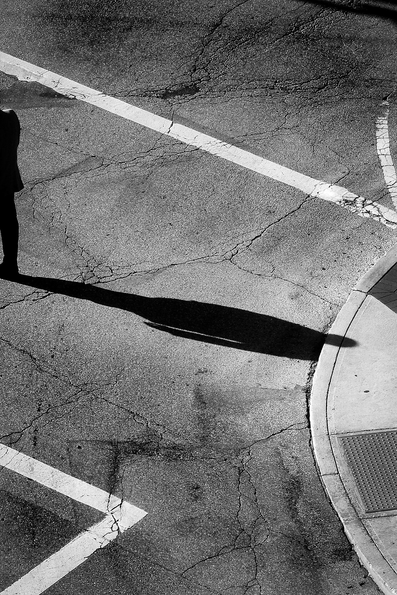 Nominee - Silhouette Category - 15th Annual Black &amp; White Spider Awards (2020)