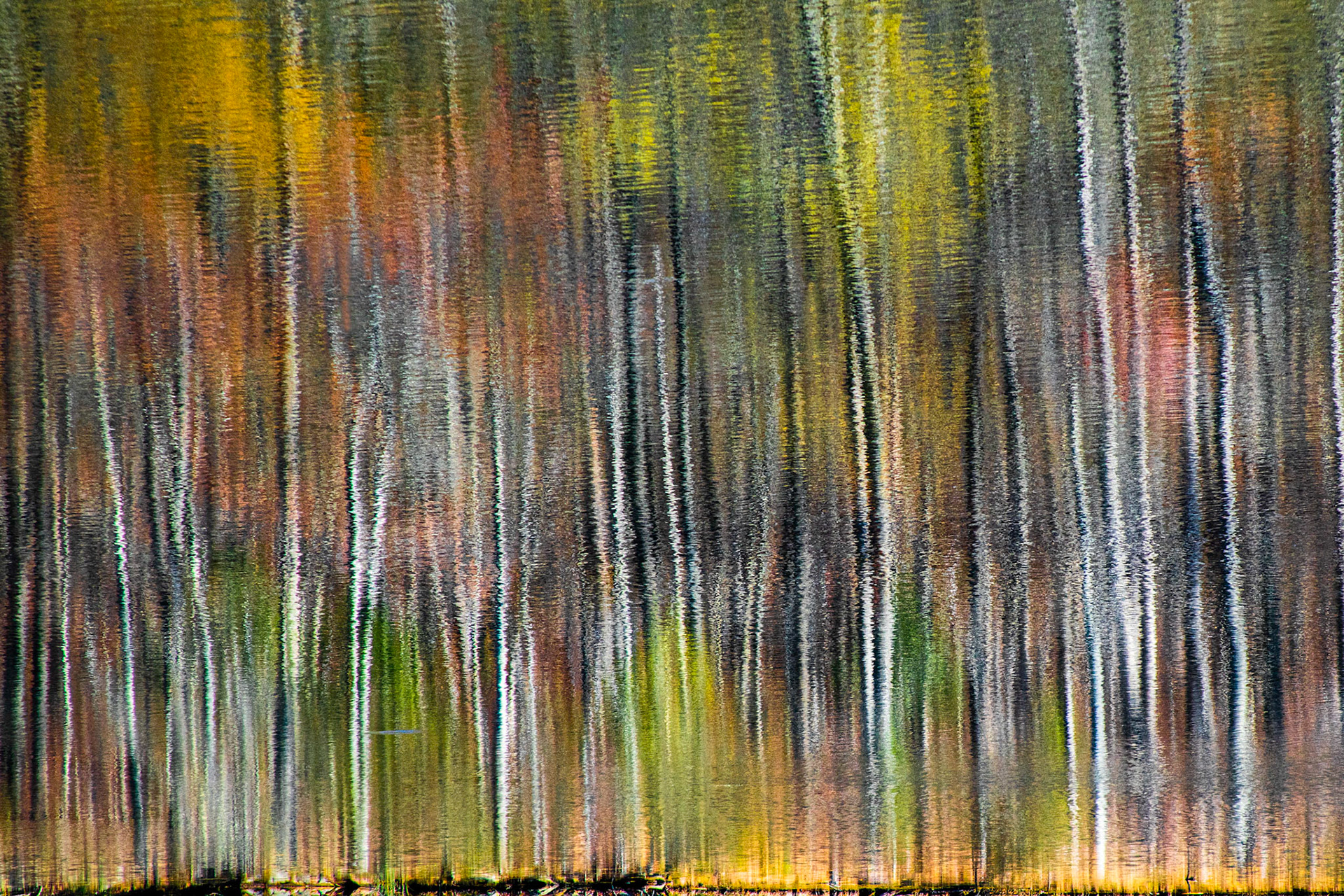 Reflections of Autumn