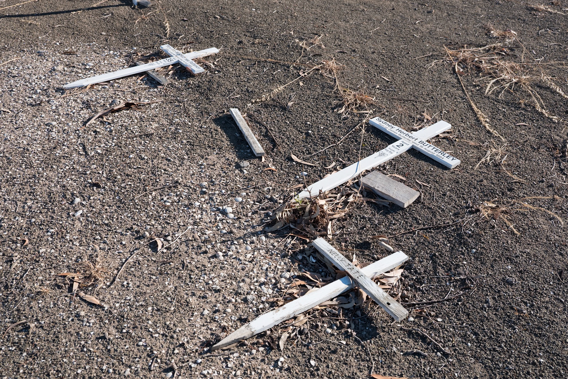 Kangaroo Island - Australie