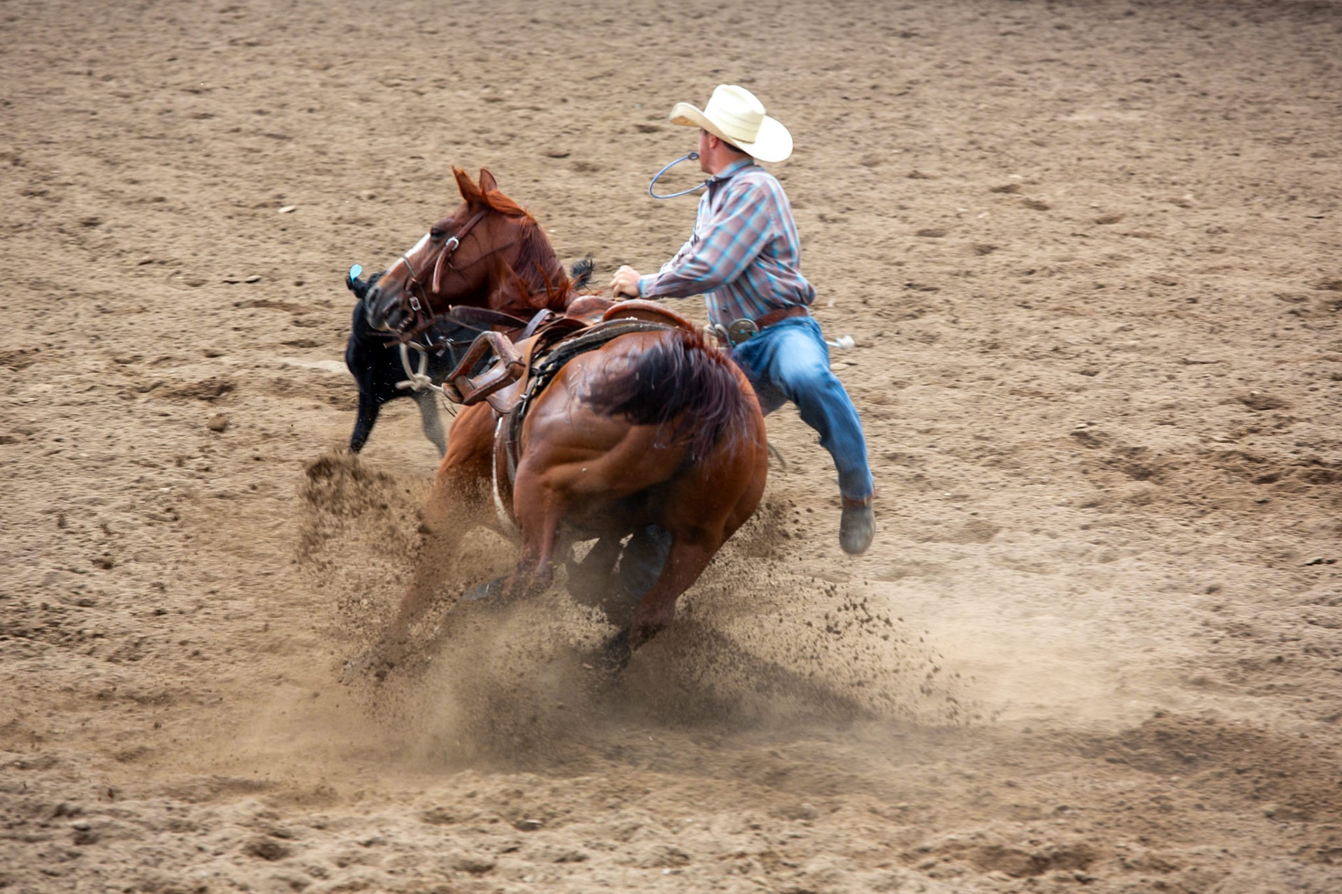 Casper WY