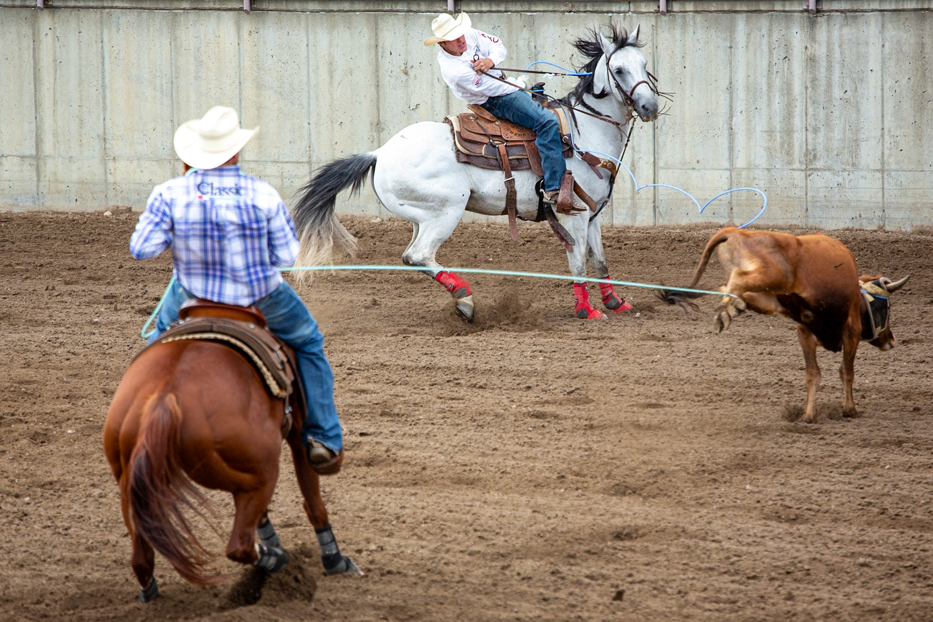 Casper WY