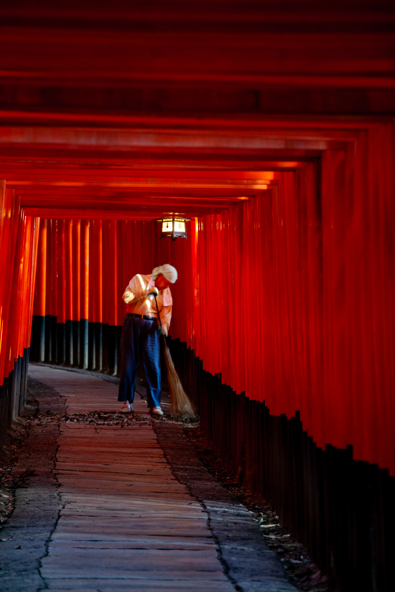 Kyoto 2010