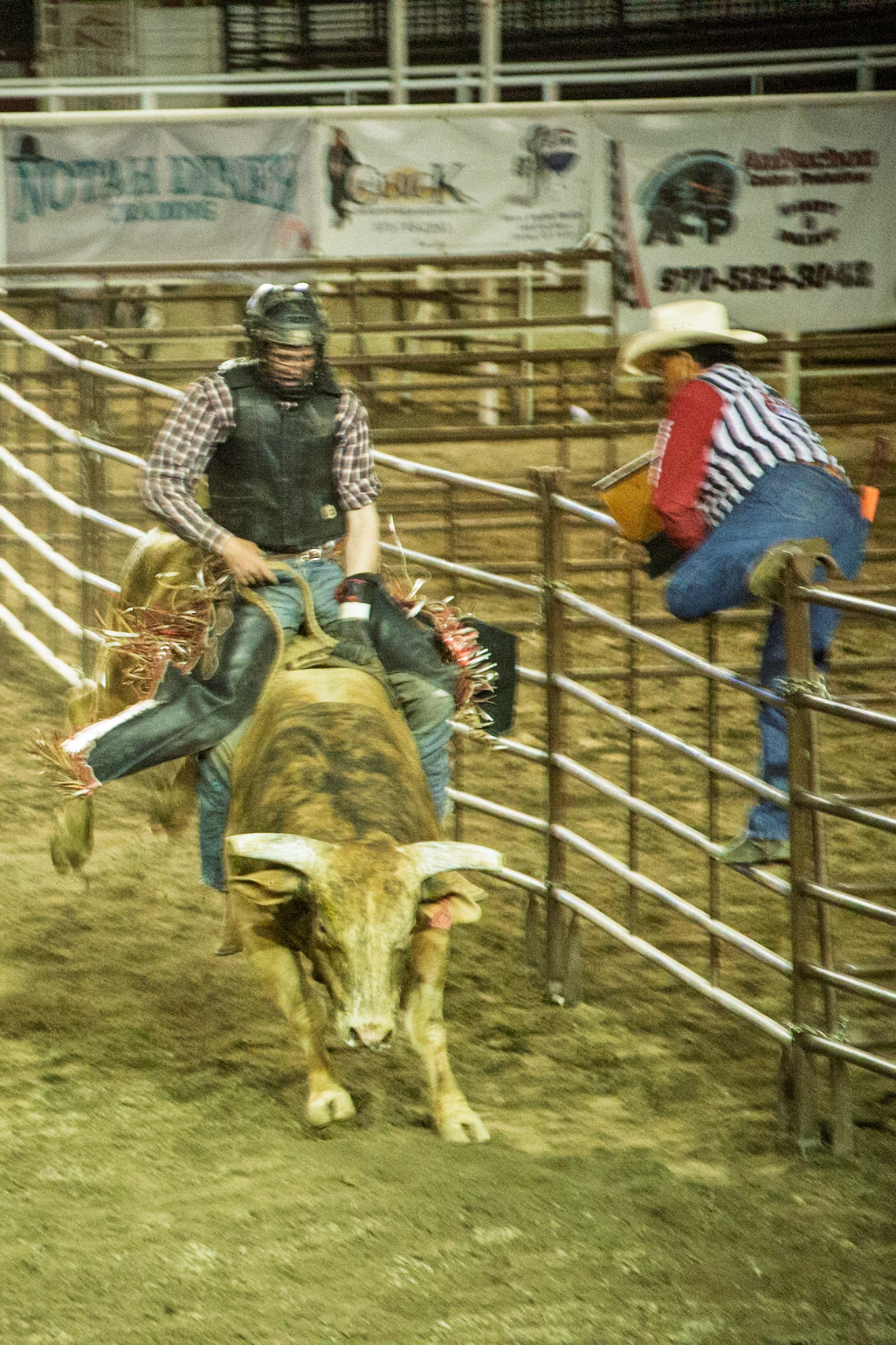Cortez CO