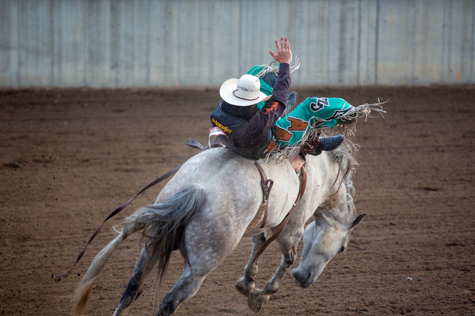 Casper WY