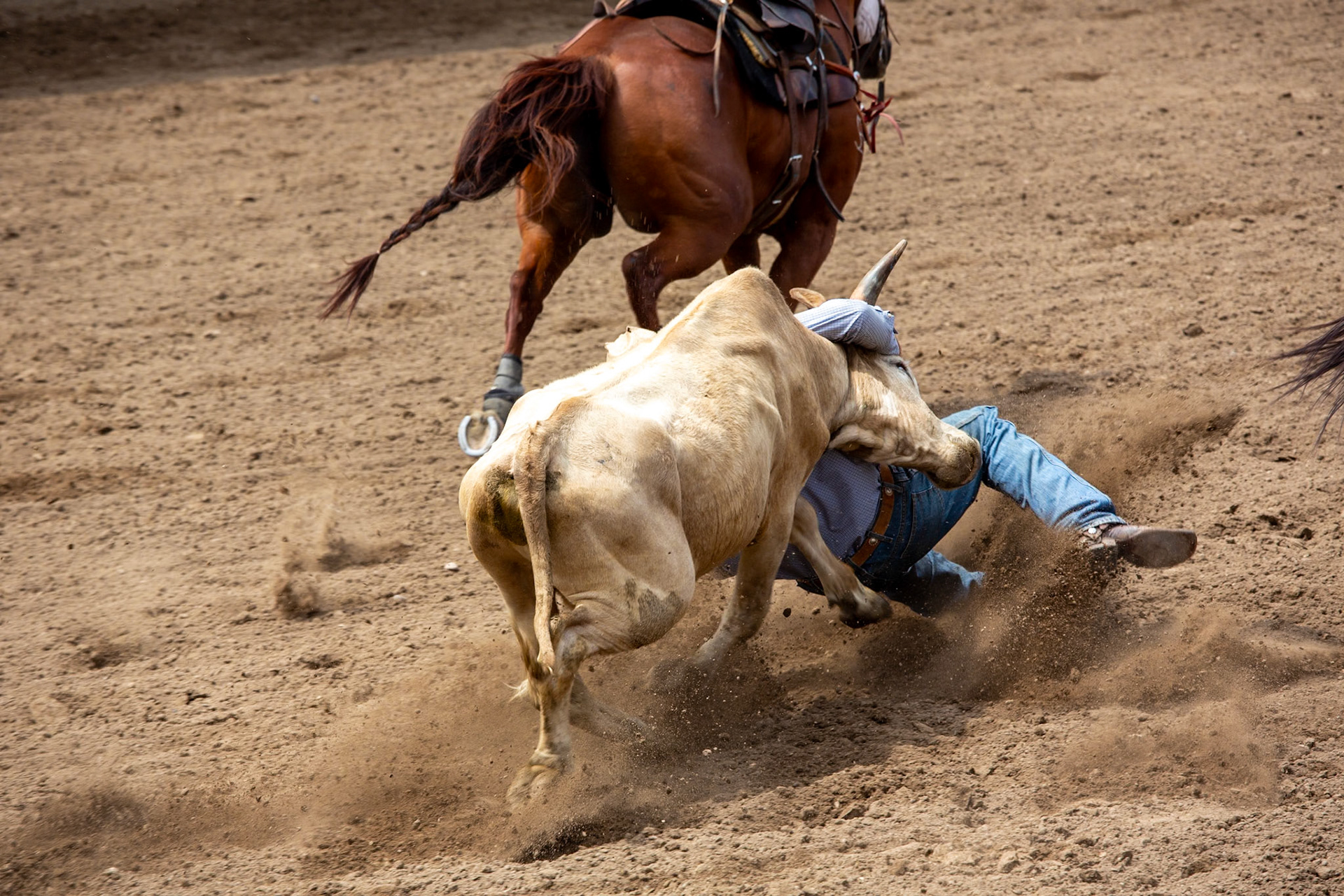 Casper WY