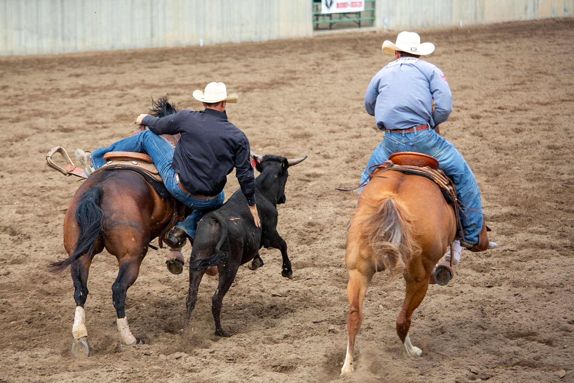 Casper WY