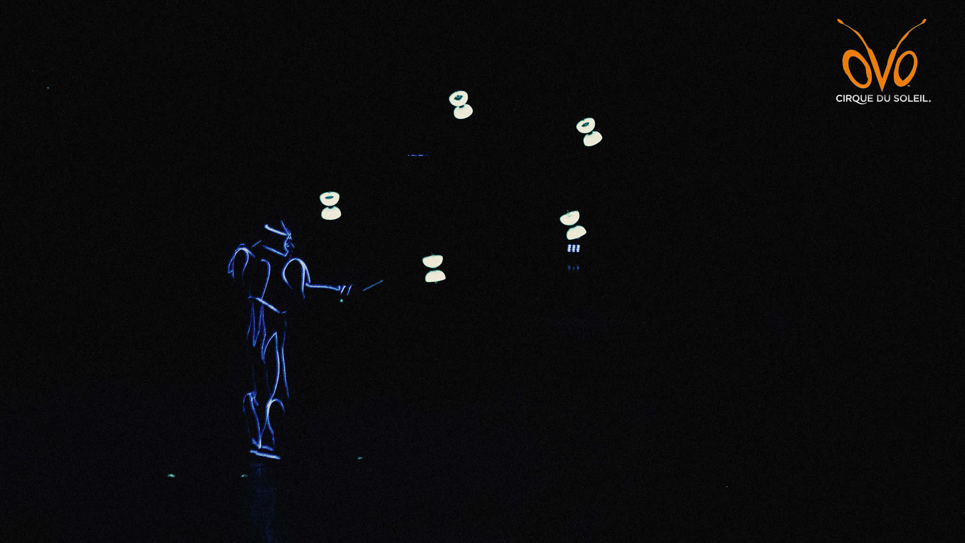 OVO by Cirque du Soleil