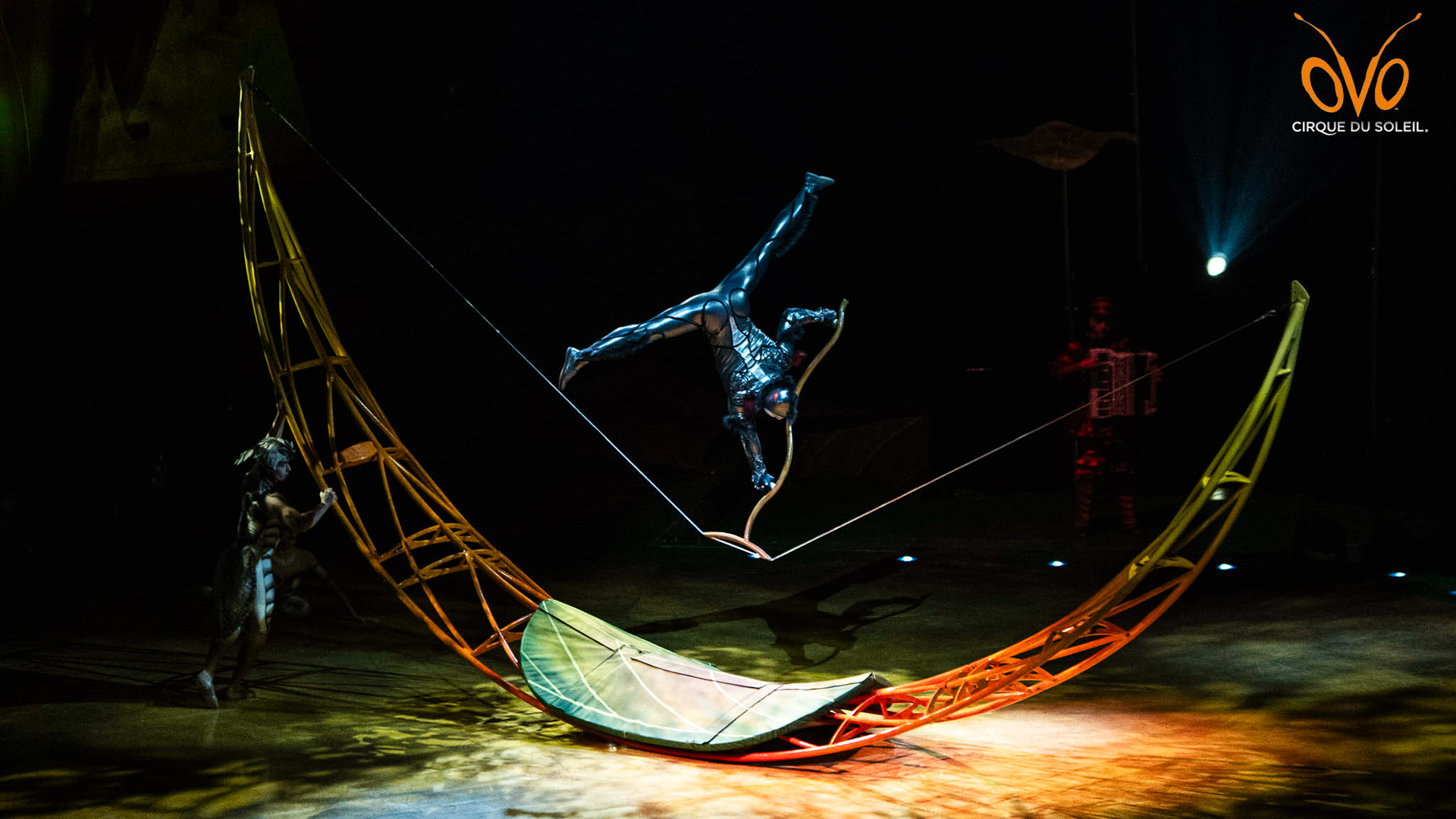 OVO by Cirque du Soleil