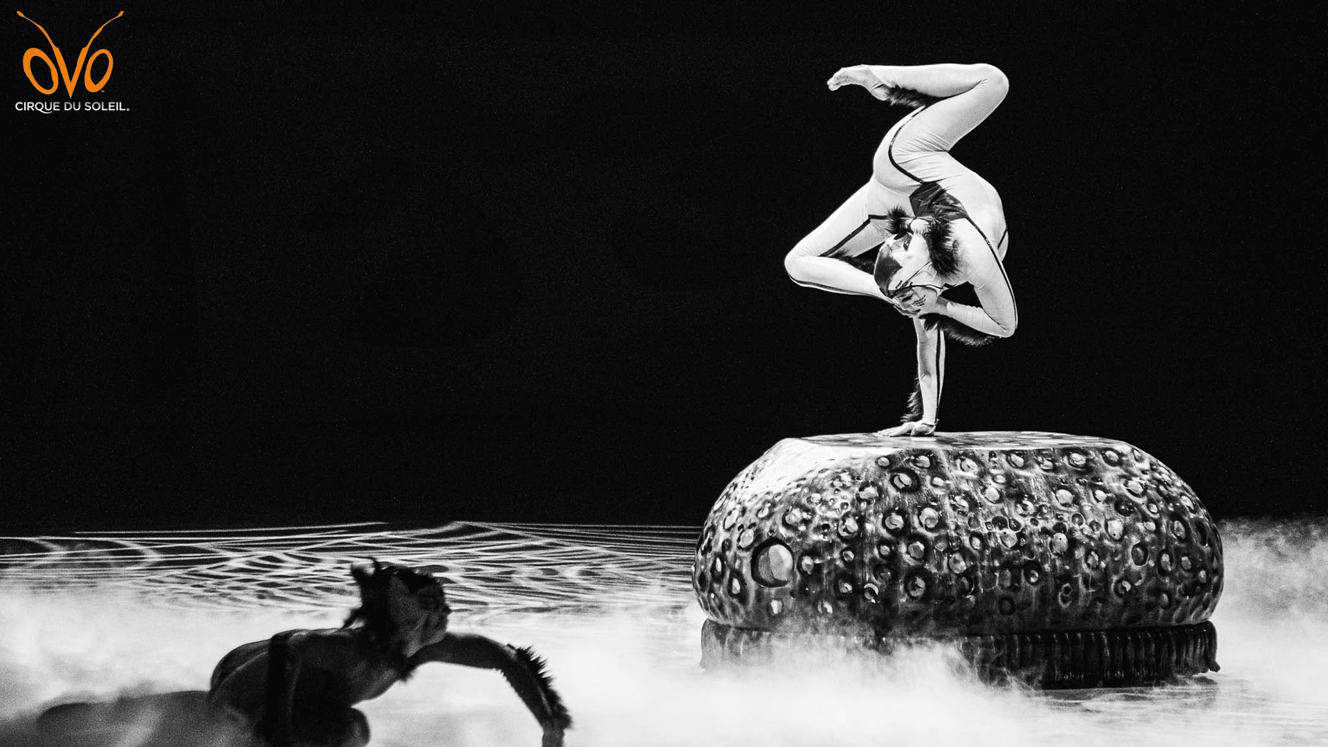 OVO by Cirque du Soleil