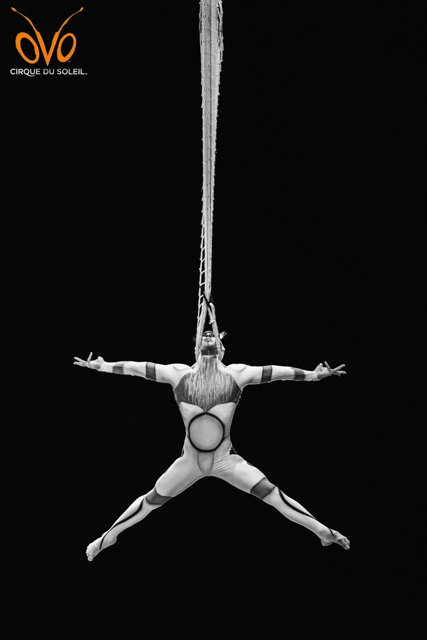 OVO by Cirque du Soleil