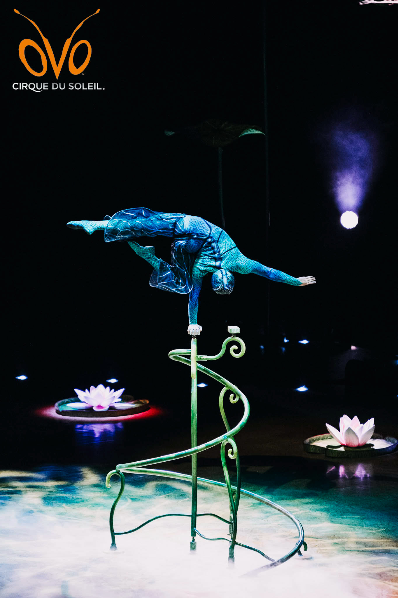 OVO by Cirque du Soleil